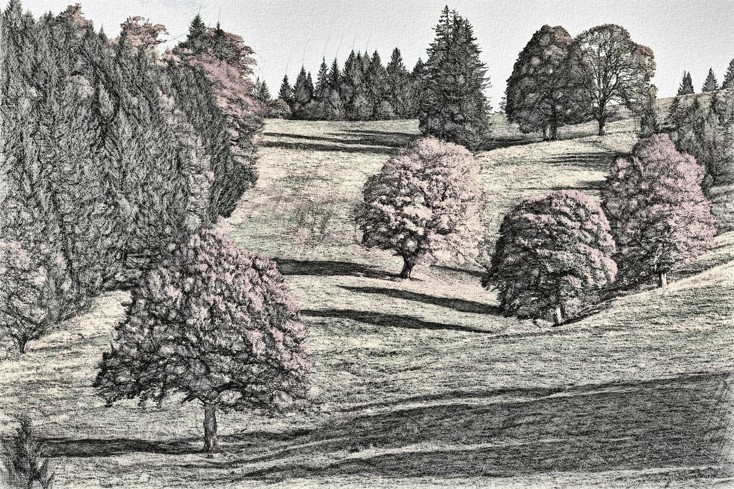 autumn-2800880_DN_DrawingStyleD_RGD.jpg
