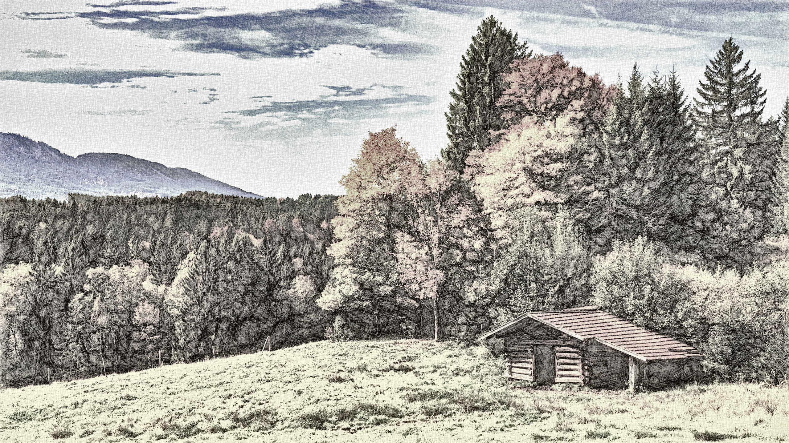 pexels-felix-mittermeier-957039DN_DrawingStyleD_RGD.jpg