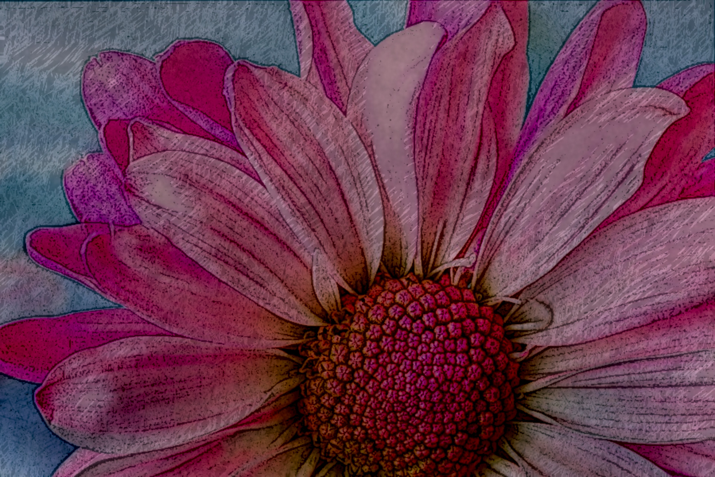 2020-10-10 20-11-11 flower-3140492_960_720, drawed in style E, on  paper specified by user, coloured at 75.0%, strokes evidence=5.jpg