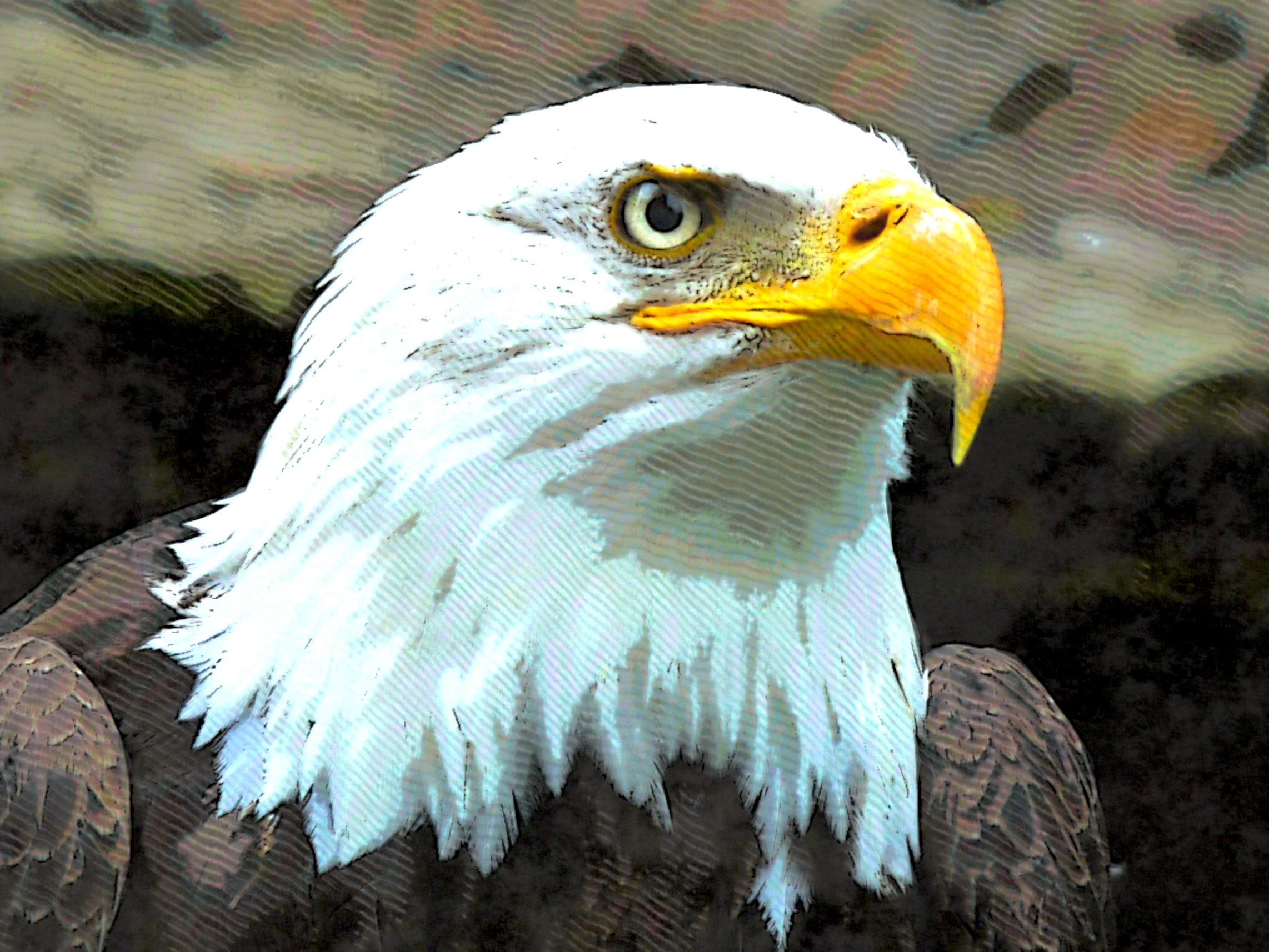 2020-10-20 06-19-21 tof-mayanoff-CS5vT_Kin3E-unsplash, stroked (rotate 180).jpeg