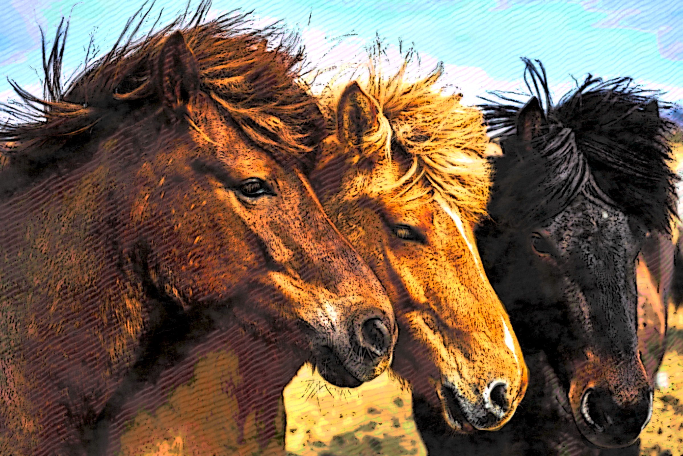 2020-10-20 06-26-39 doruk-yemenici-M7Qzh_PD2mM-unsplash, stroked.jpeg