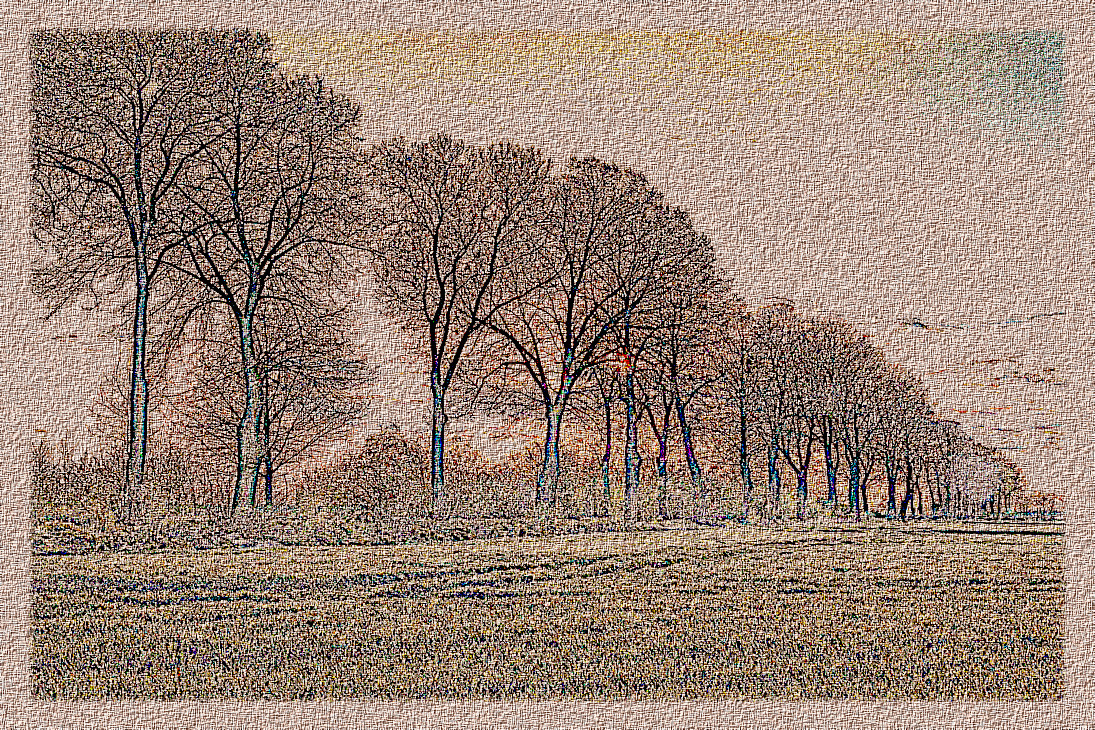 avenue_bathed_in_sunshine_by_citizenfresh_DN_DrawingStyleH_Laplace.JPG