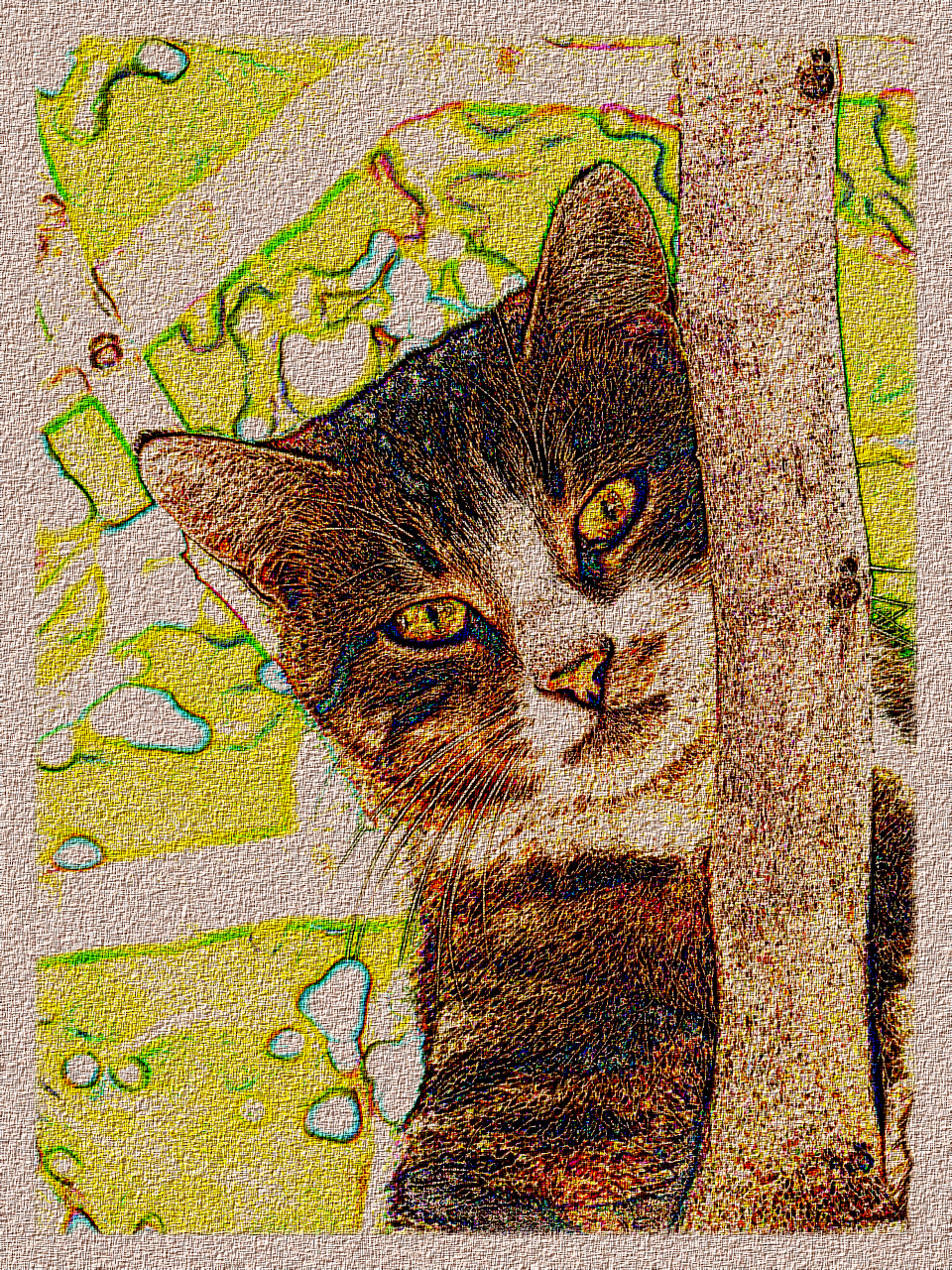 cat-61079_DN_DrawingStyleH_Roberts.JPG