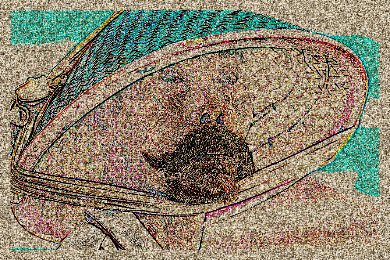 old-man-5416999_DN_DrawEffectH_Laplace.jpg