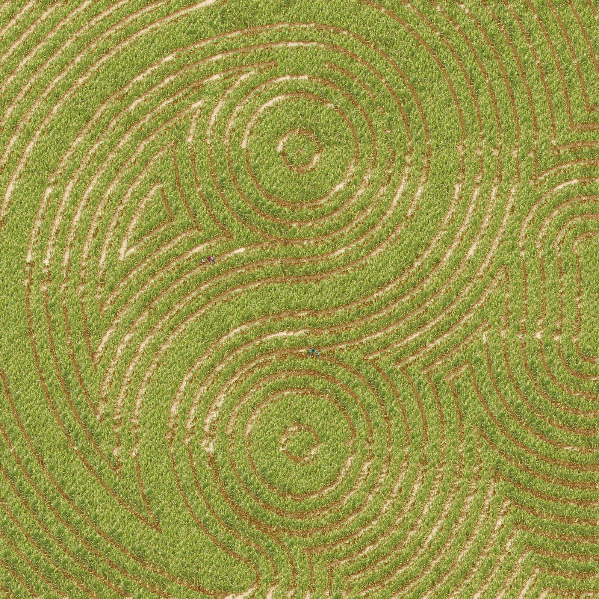 Yin_yang-cm.jpg