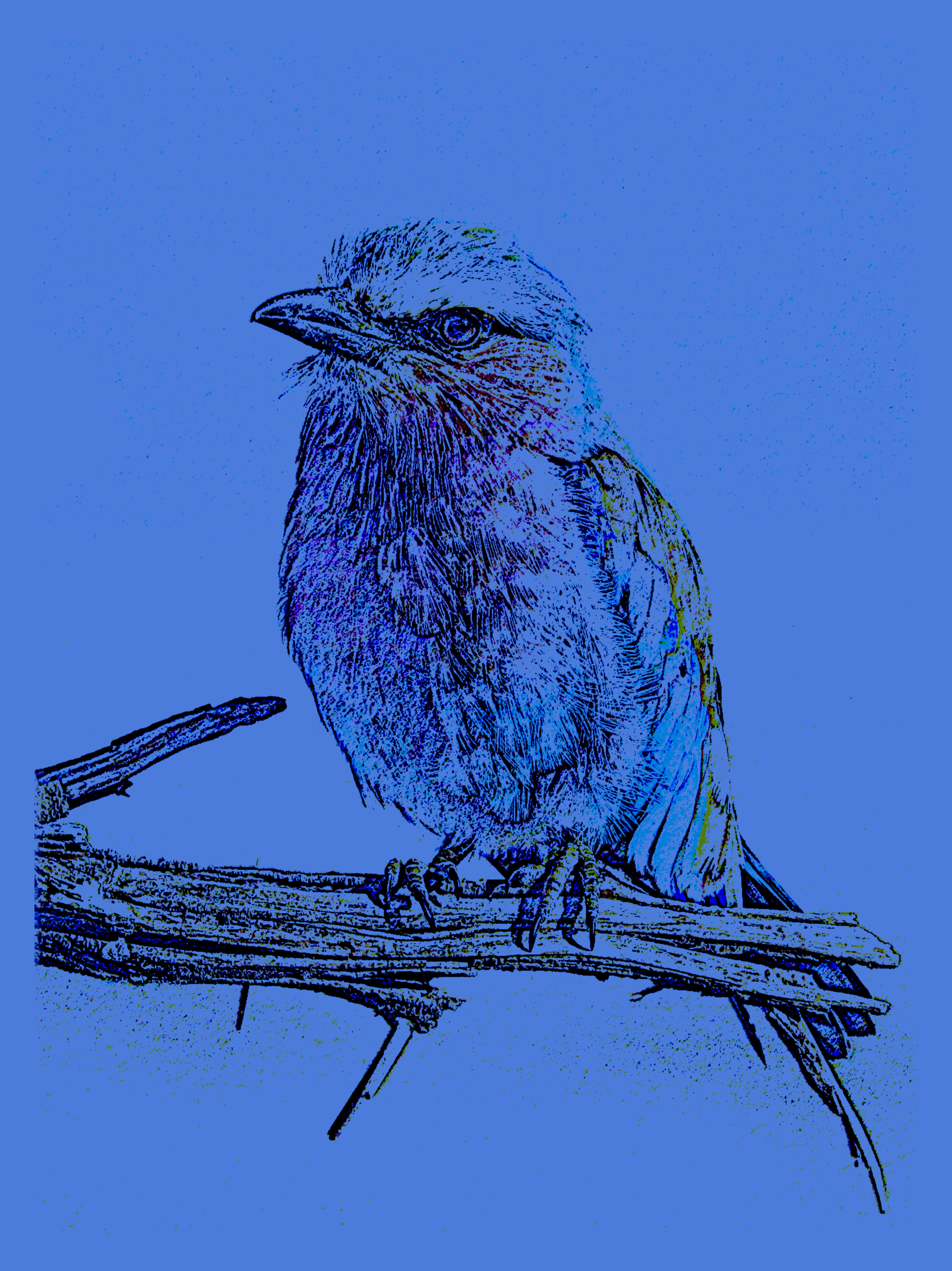 2020-10-31 08-33-39 david-clode-7_TTPznVIQI-unsplash, as a Pastel Sketch NEON (7) (paper user).jpeg