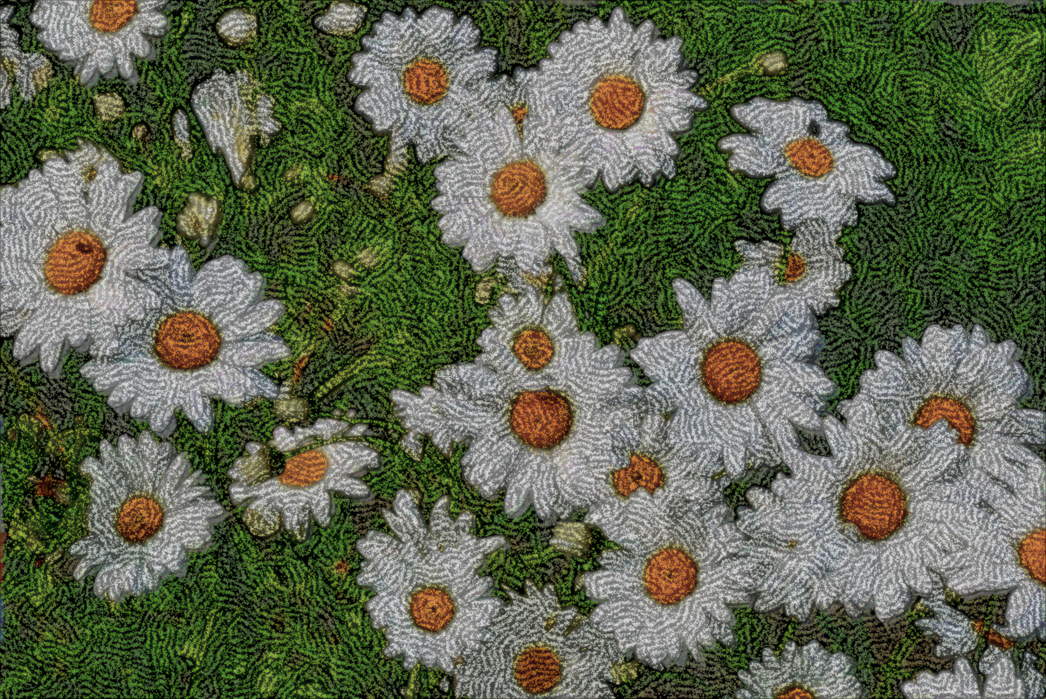 daisy-165292_DN_DrawEffect_G_EndGrain_M.jpg
