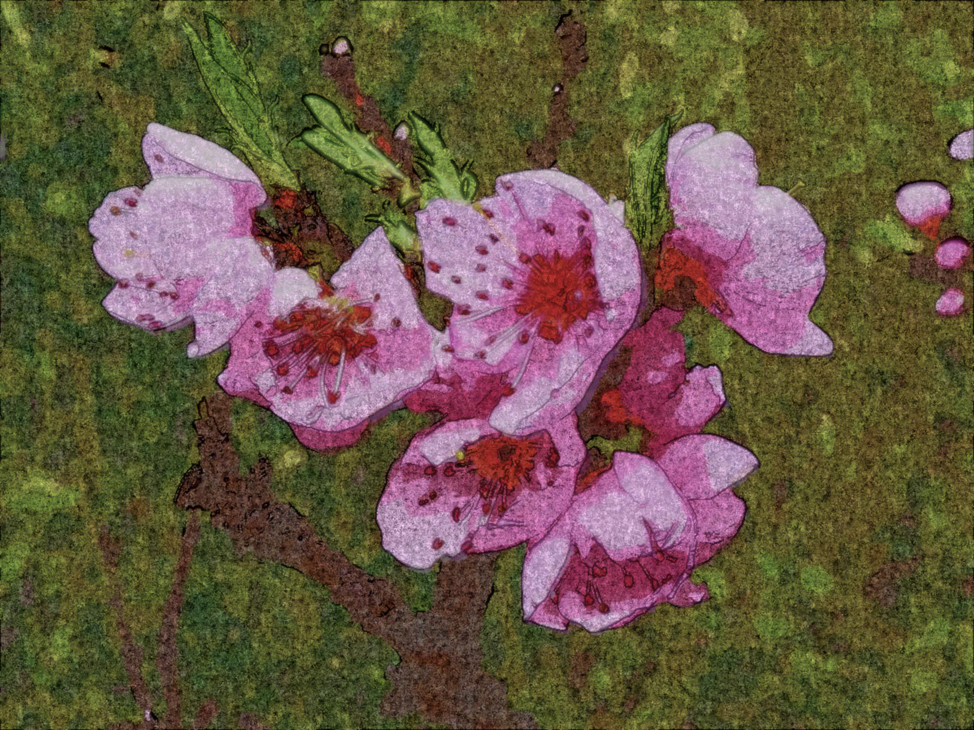 peach-4898872_DN_DrawEffect_G_Textiler_M.jpg