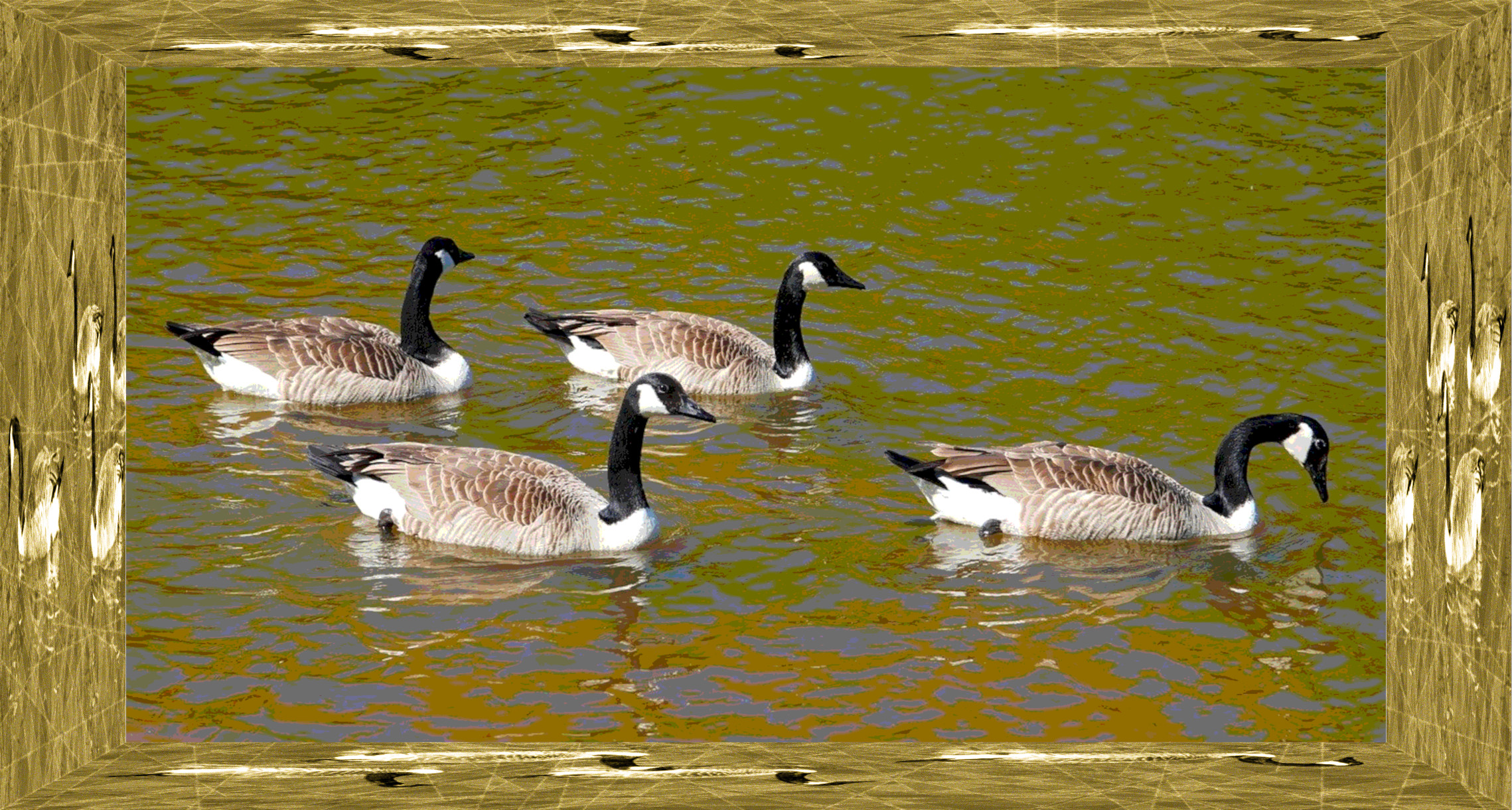 geese-5083175_DN_DrawEffect_I.jpg