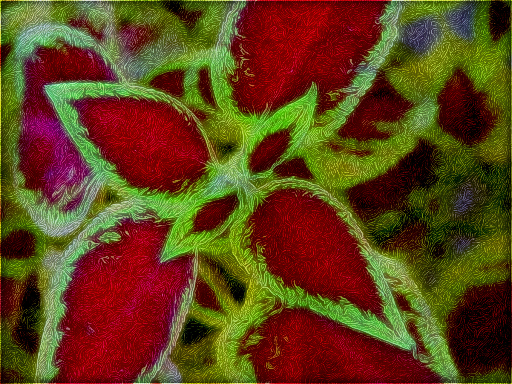 fpfree110504-0040_DN_DrawEffect_J.jpg