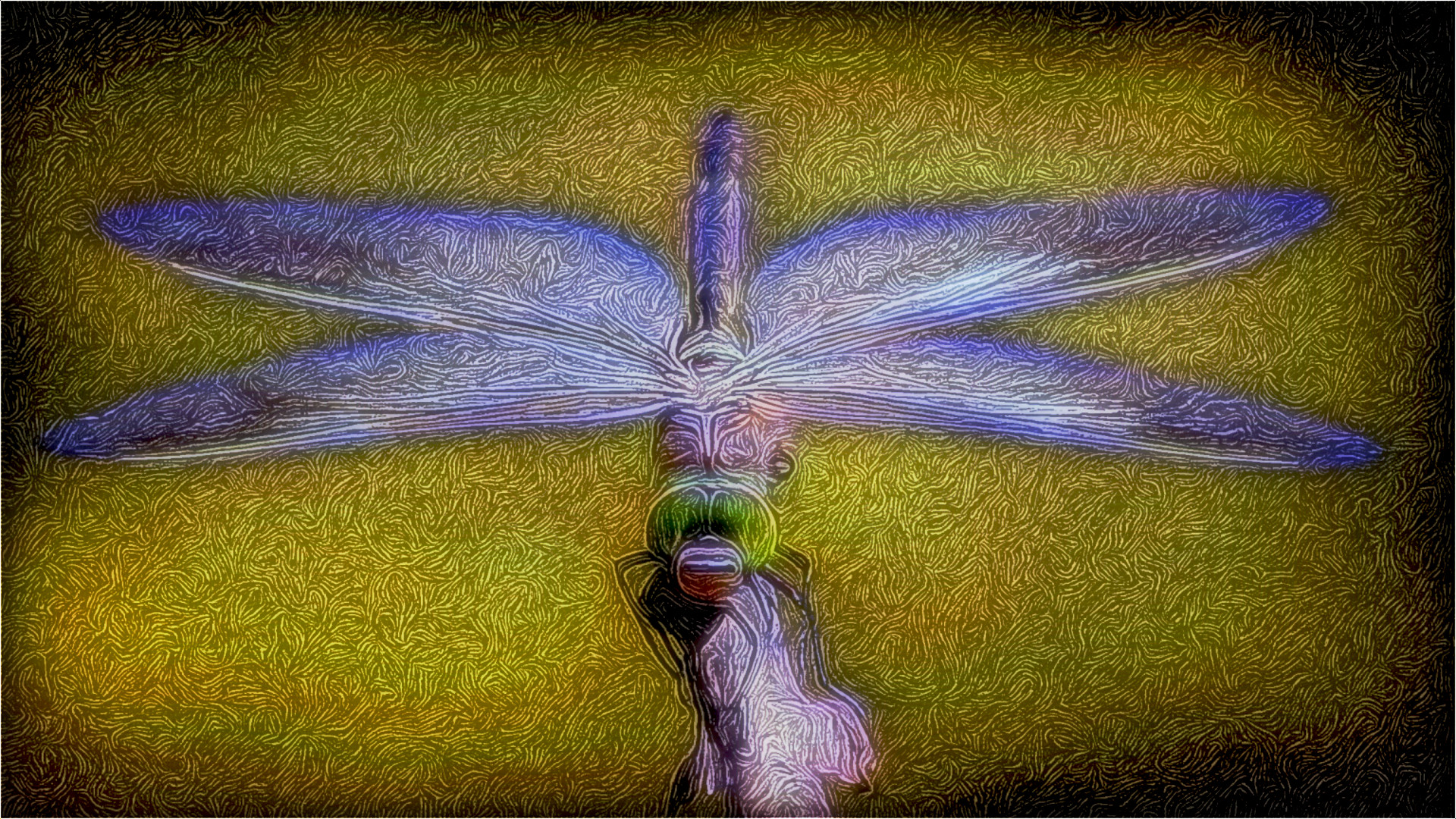 dragonfly-3456317_DN_DrawEffect_J.jpg