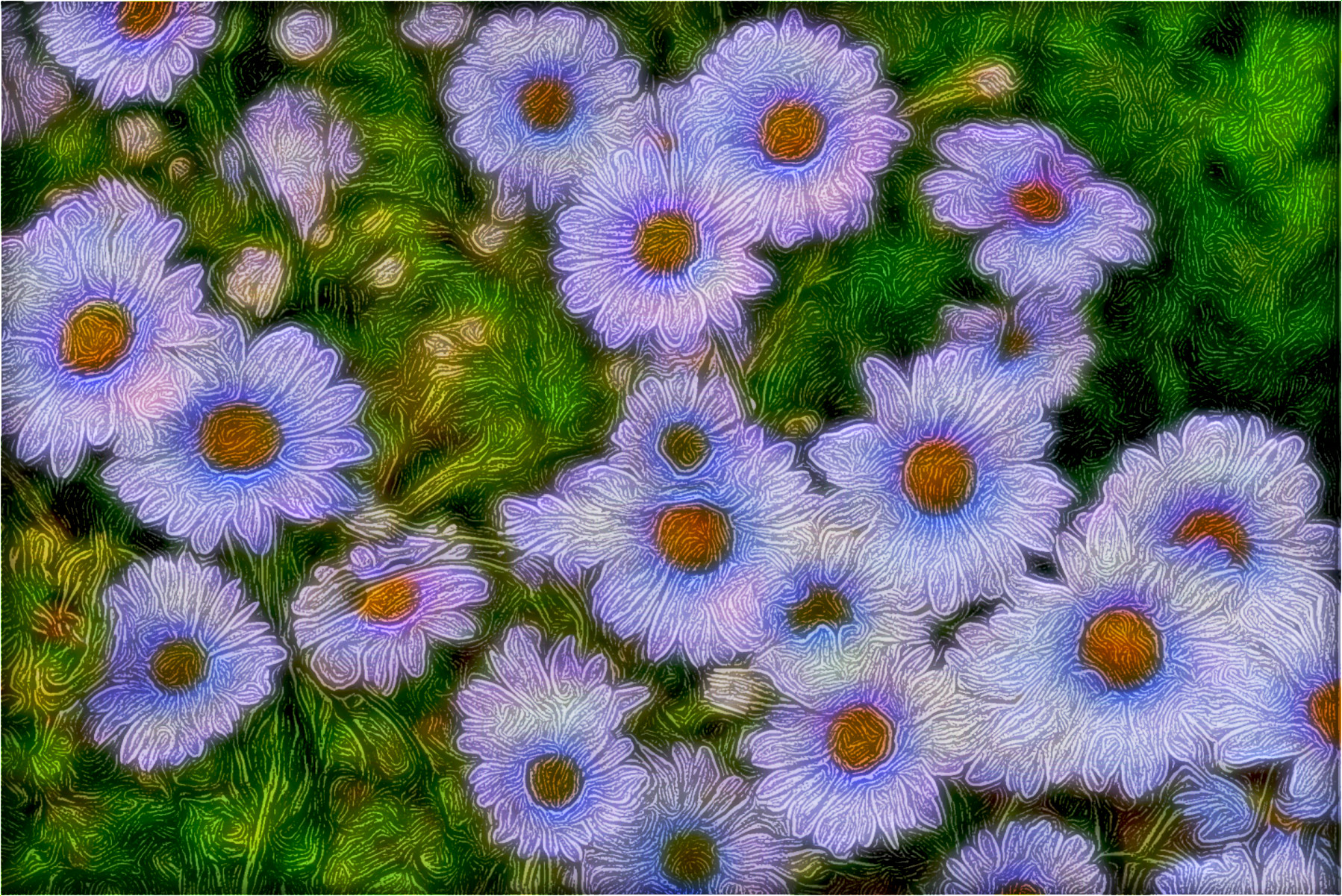 daisy-165292_DN_DRawEffect_J.jpg