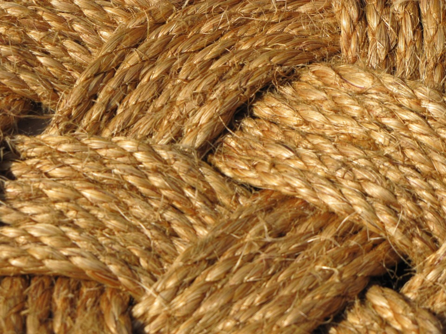 Rope.jpg