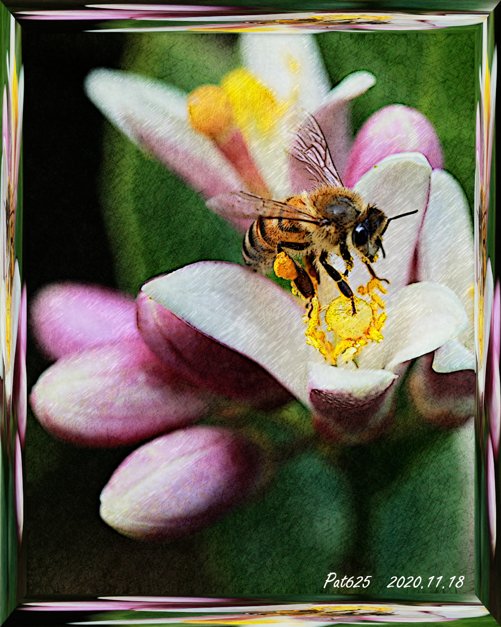 FlowerBee.DiegoDrawing_E.jpg