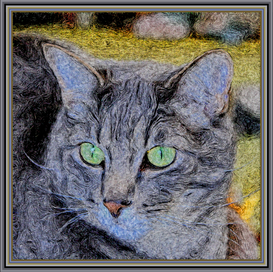 Tabbycat.DNDraw_K.jpg