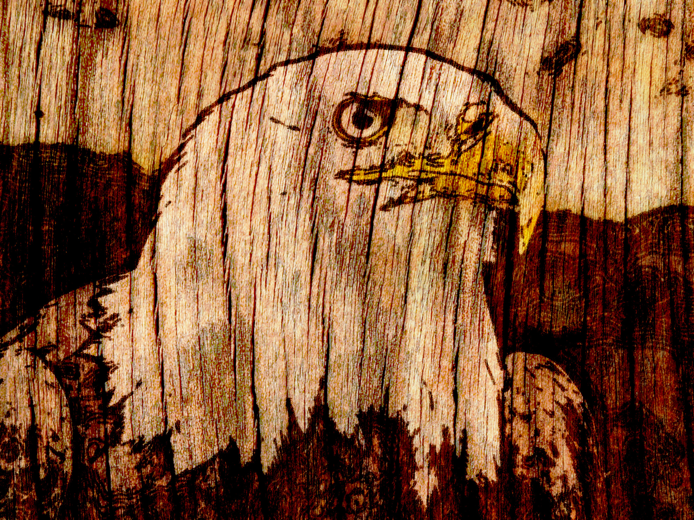 2020-11-26 14-05-36tof-mayanoff-CS5vT_Kin3E-unsplash as a drawing engraved on L_Wood-Wooden-Textures-for-Designers-5.jpg (colour=user).jpeg