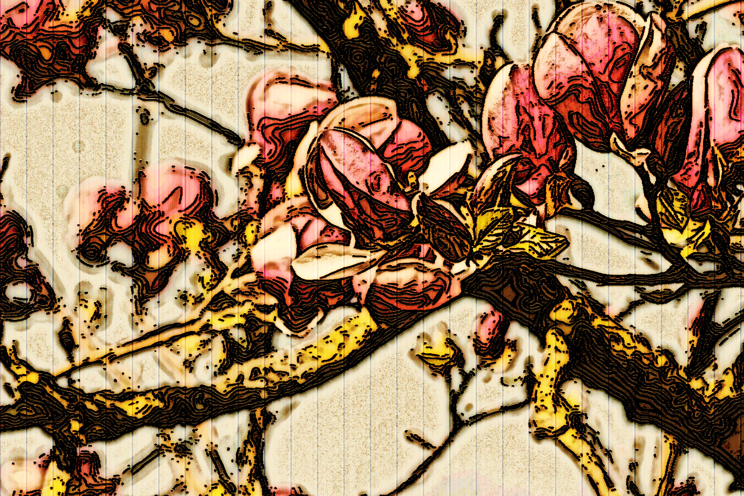 47546998371_5ba5307c28_k_DN_DrawEffect_L_e.jpg