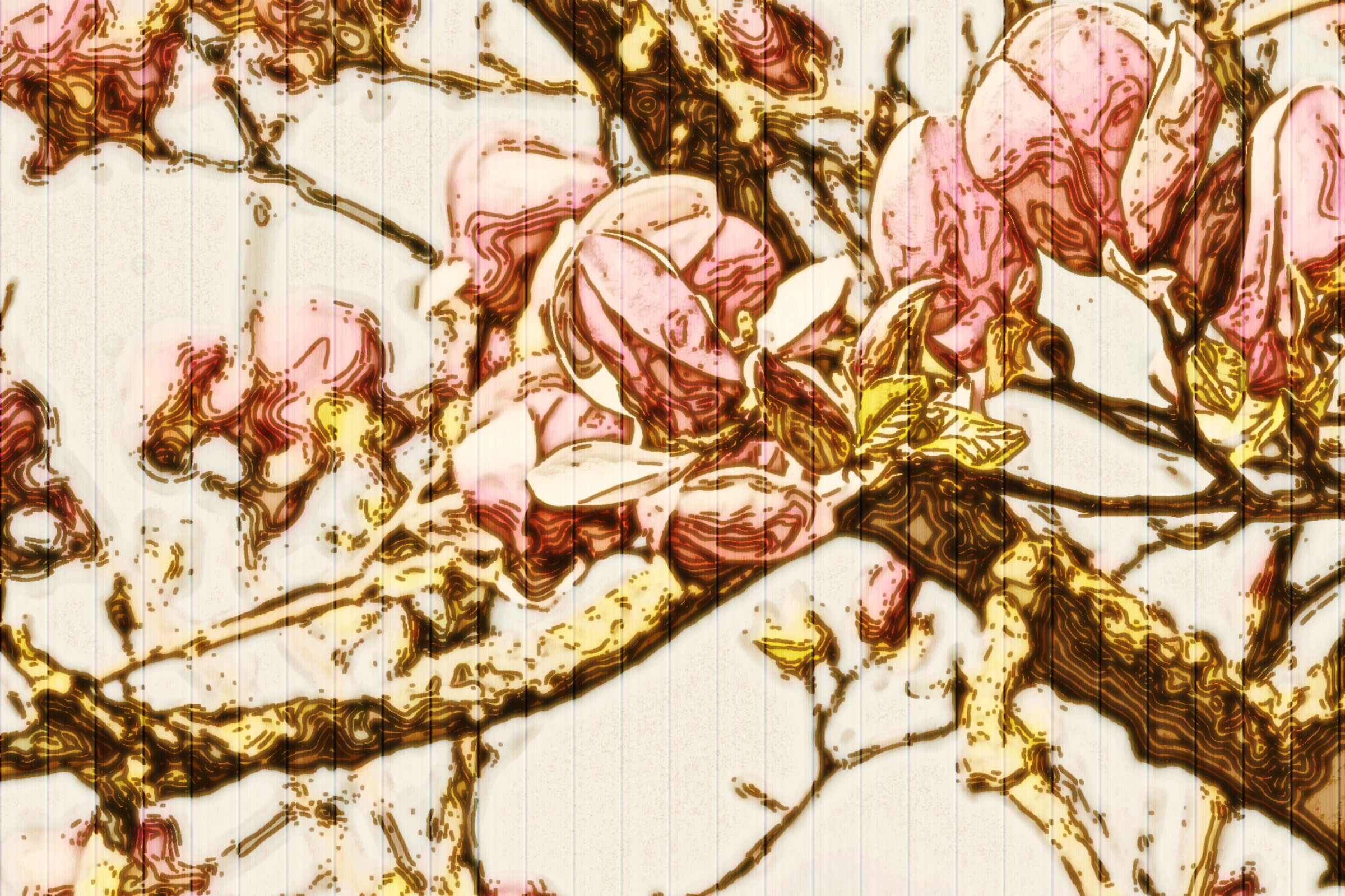 47546998371_5ba5307c28_k_DN_DrawEffect_L_n.jpg