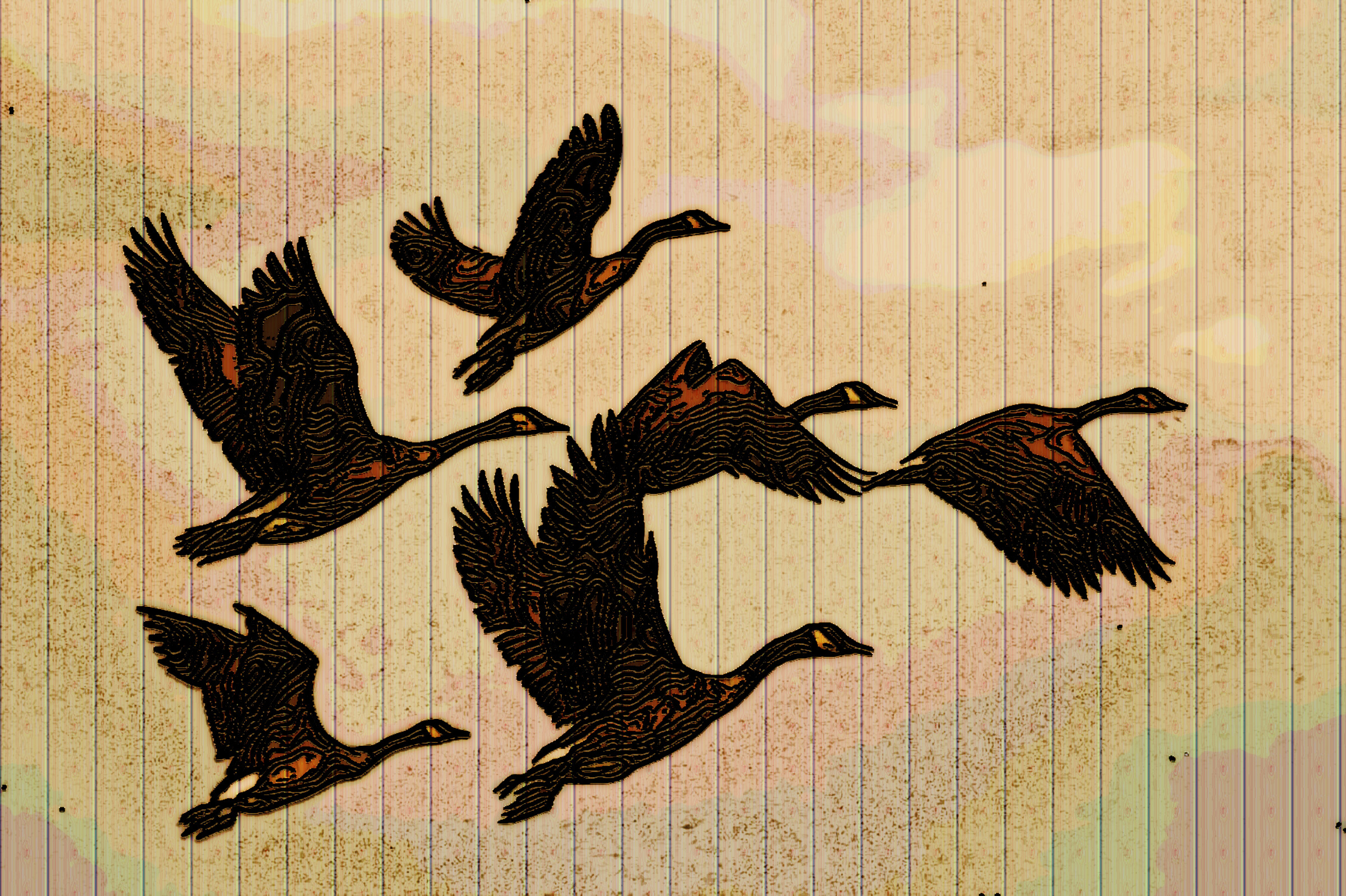 geese-1990202_DN_DrawEffect_L.jpg