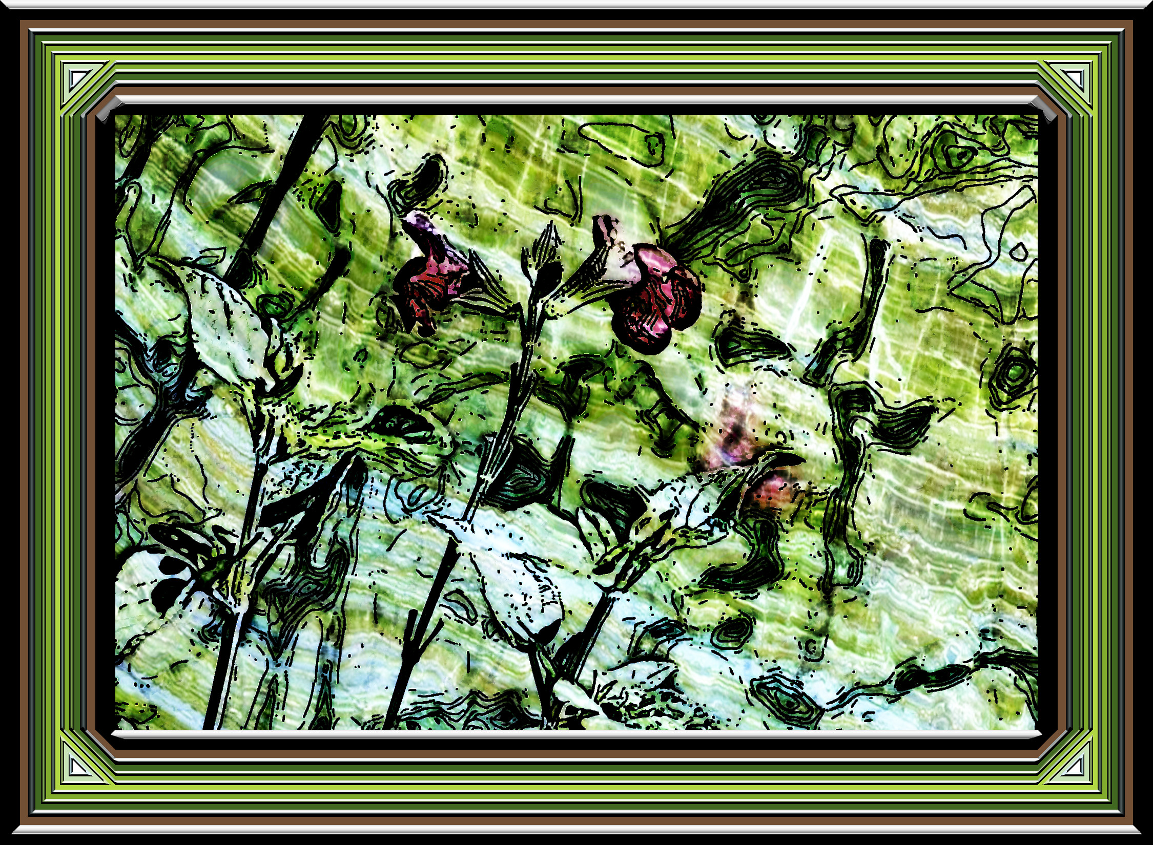 image_Salvia_DN_DrawEffect_L_G.jpg