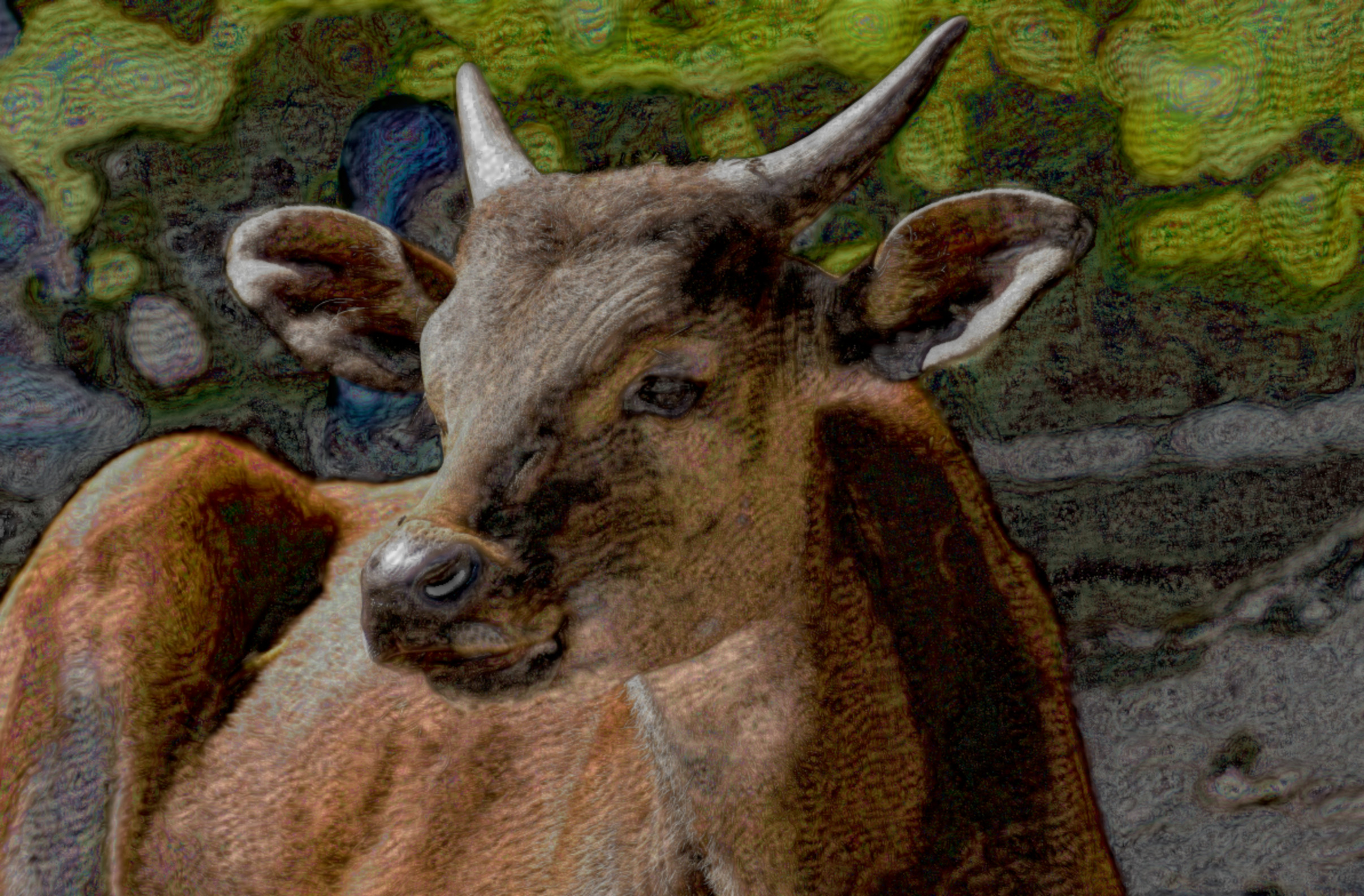 2020-12-11 17-05-46 banteng-2330138, stroked.jpeg