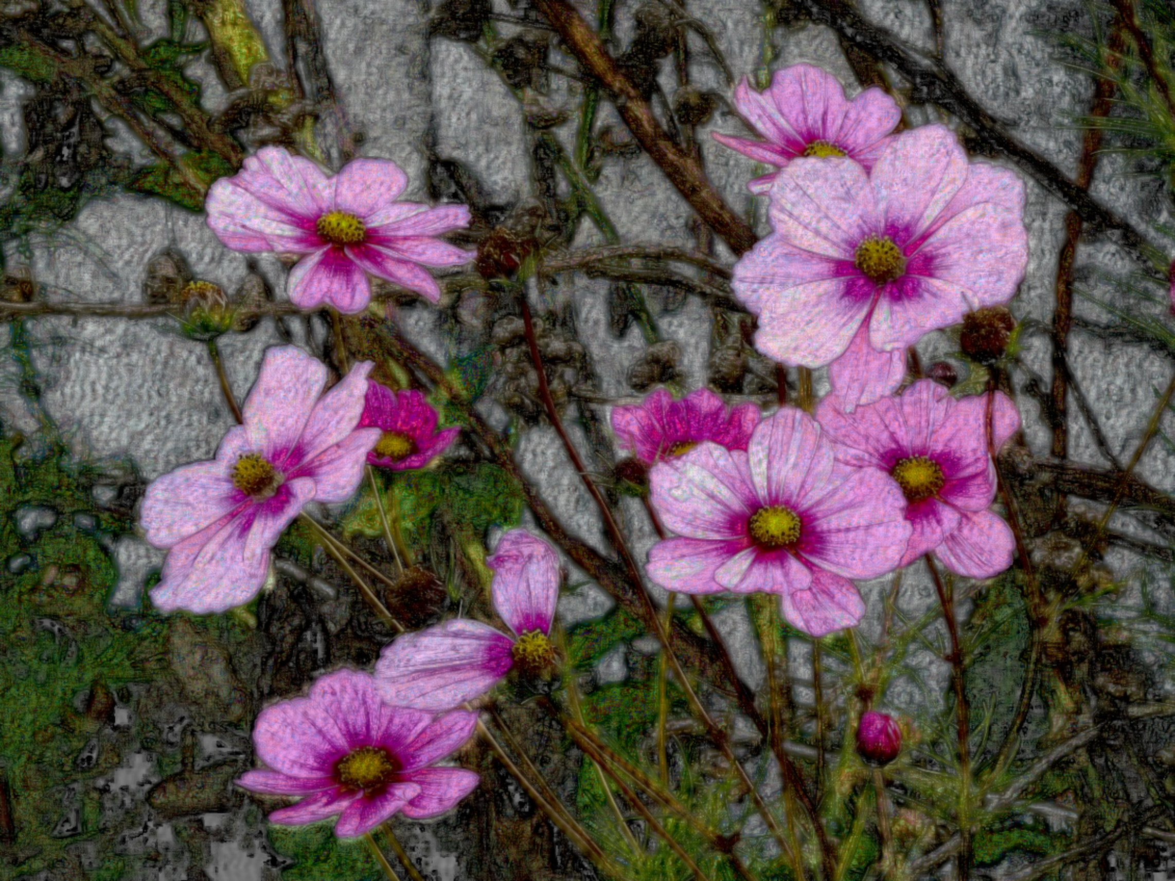cosmos-4986853_DN_DrawEffect_F.jpg