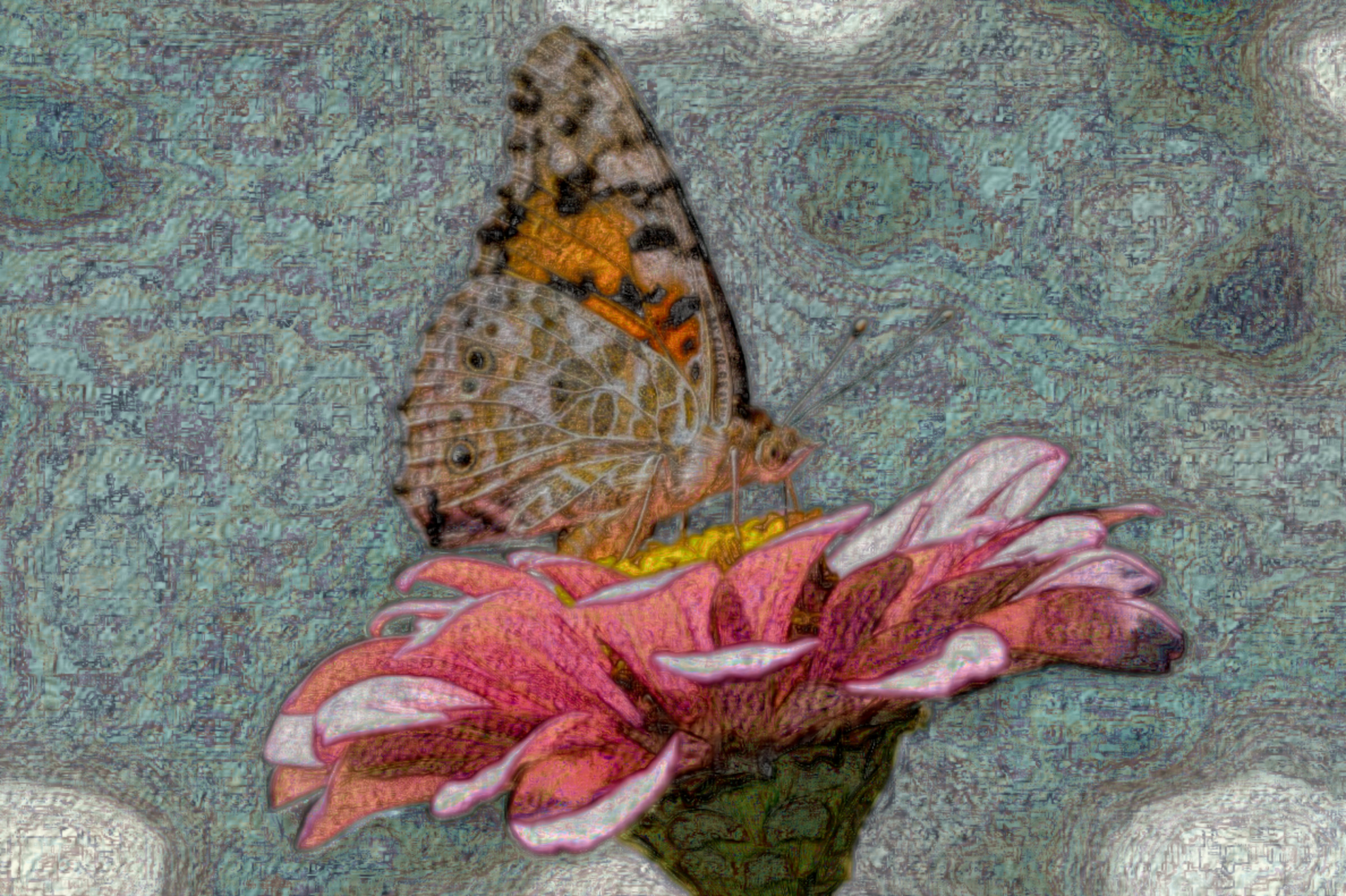 butterfly-4392735_DN_DrawEffect_F.jpg