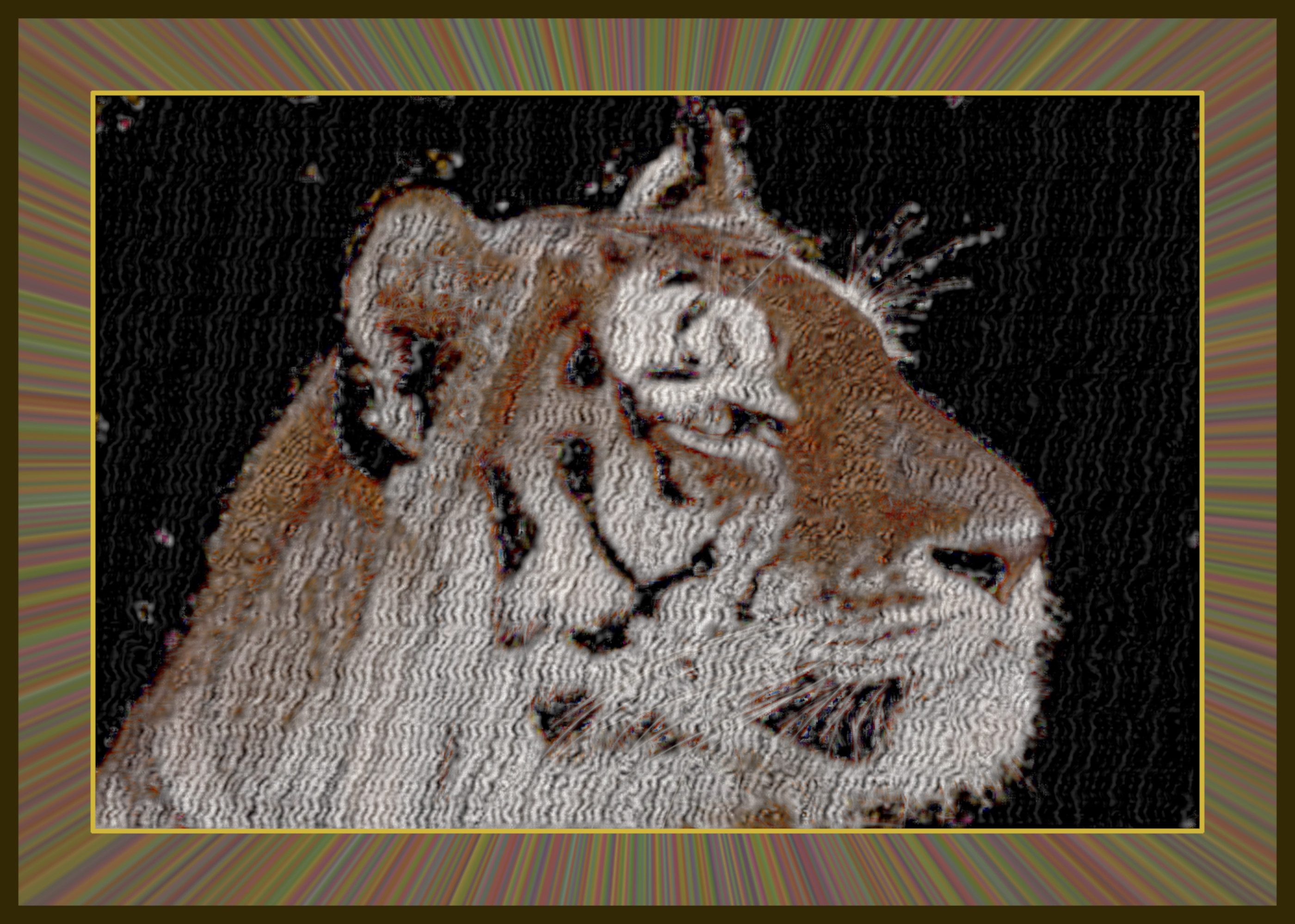 animal-5038384_DN_DrawEffect_F.jpg