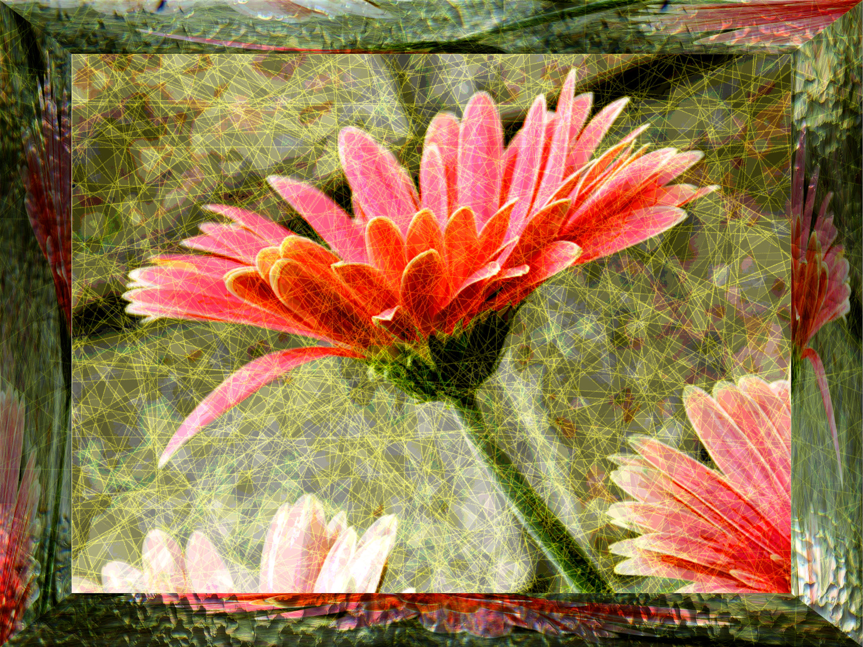 DSCN3559_DN_DrawEffect_I.jpg