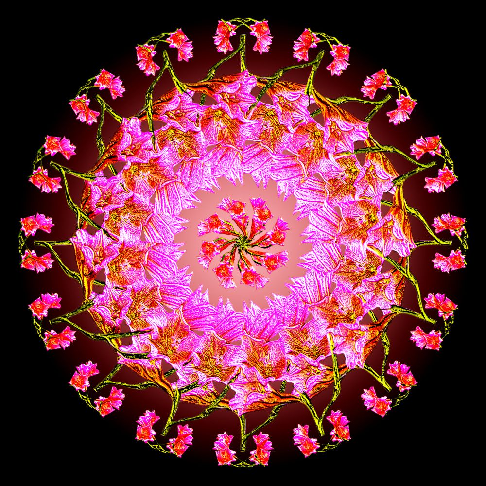 mandala_wild_flower.png
