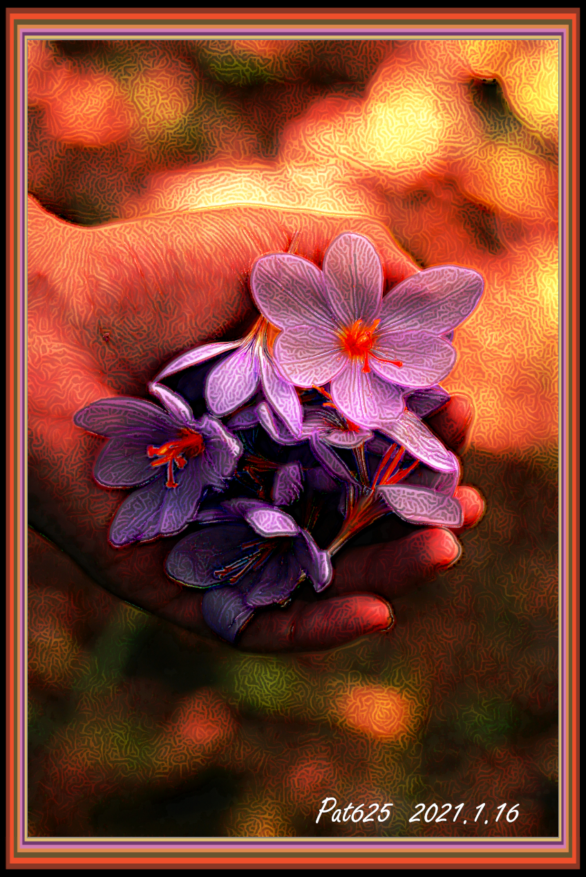 FlowersinHand.DNDrawStyleGrev.jpg