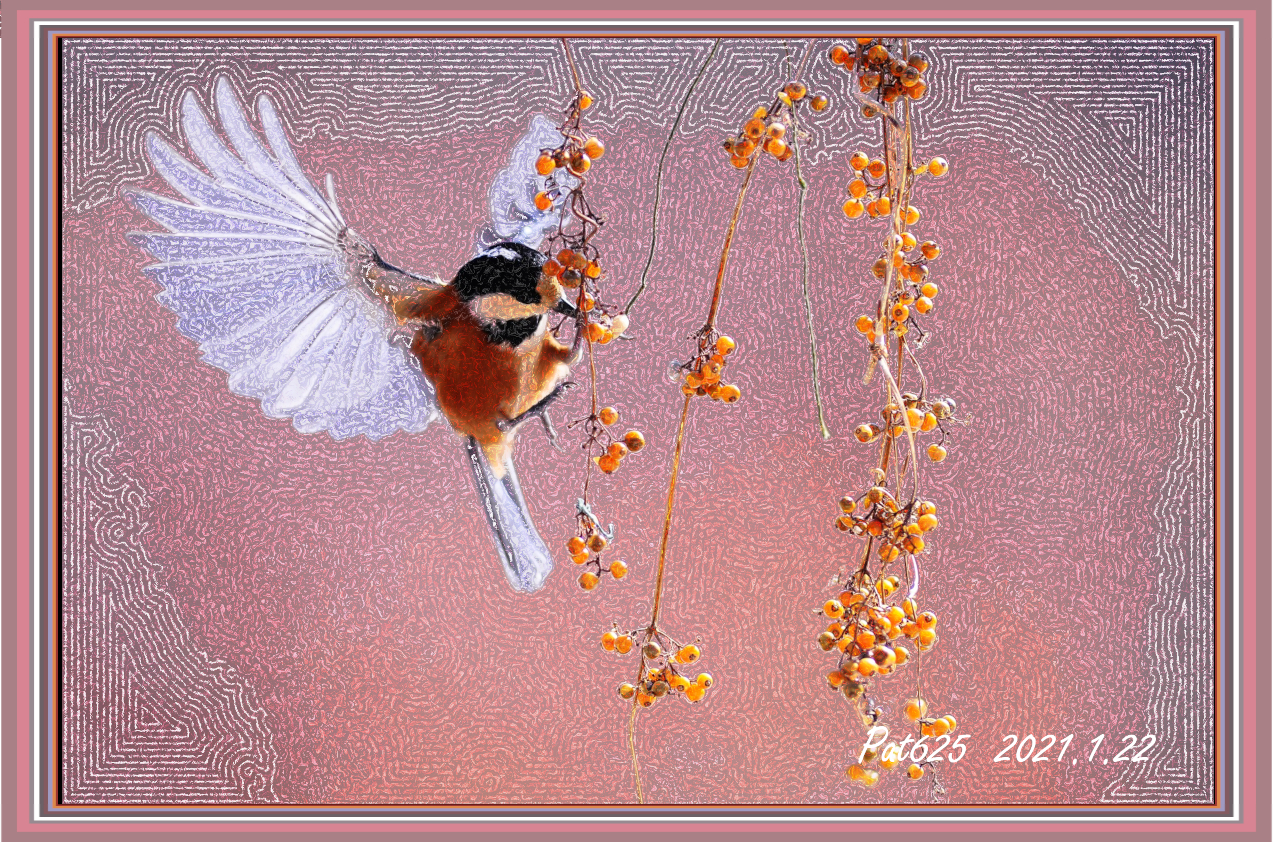 Hummingbird.berries.DNDrawingStyleM.whirls.jpg