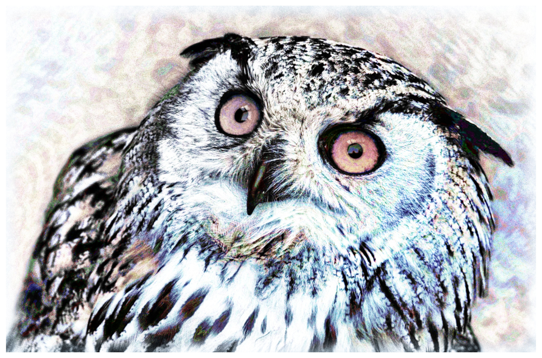 eagle-3654668_DN_DrawEffect_O2_Gray.jpg