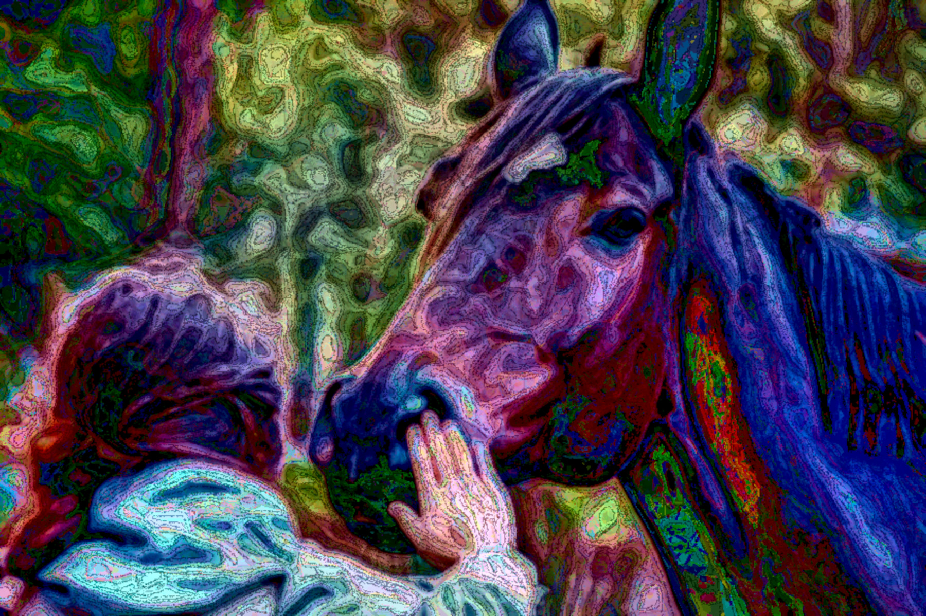 horse-5628881_DN_DrawEffect_O2.jpg