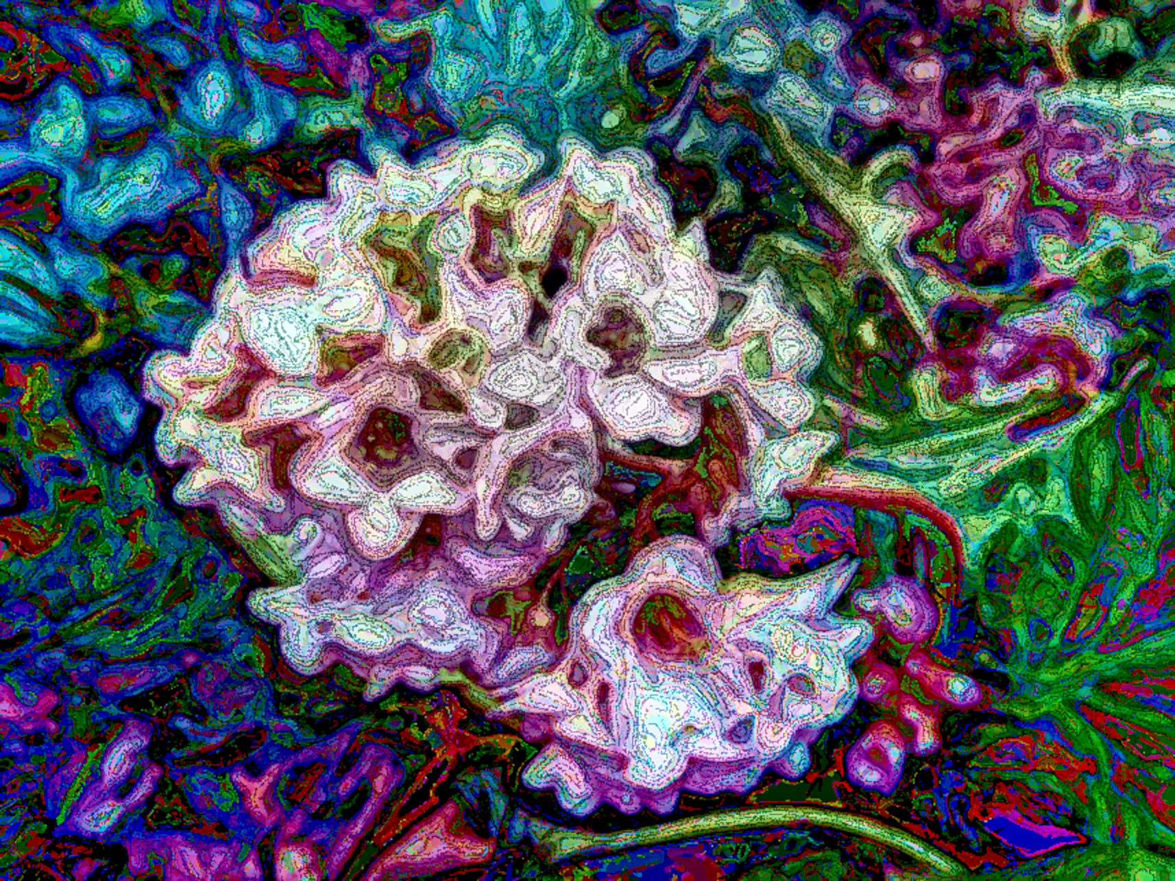 c294e29b-c0c0-4f7b-b040-DN_DrawEffect_O2.JPG