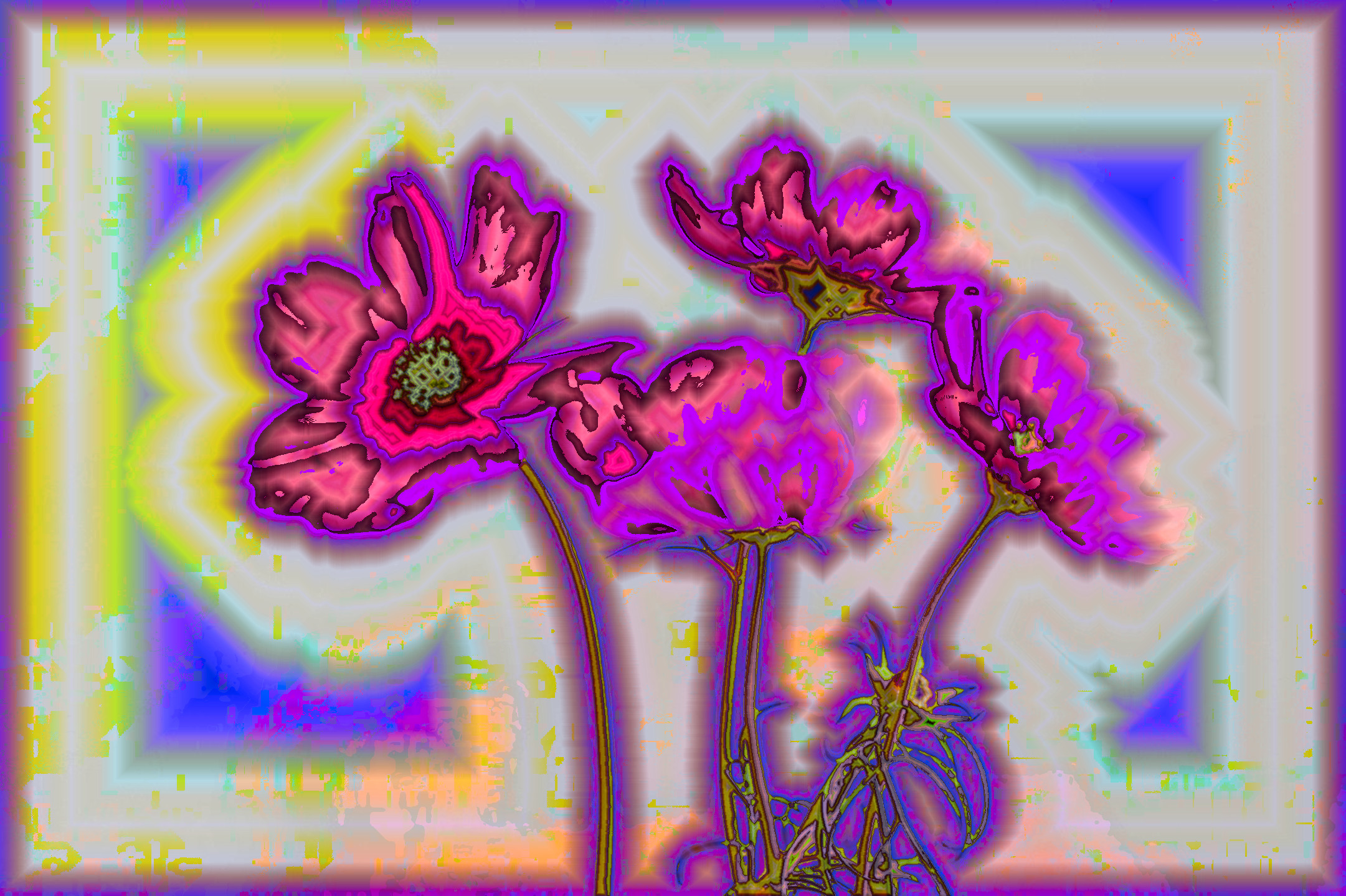 cosmea-583092_DN_DrawEffect_P.jpg