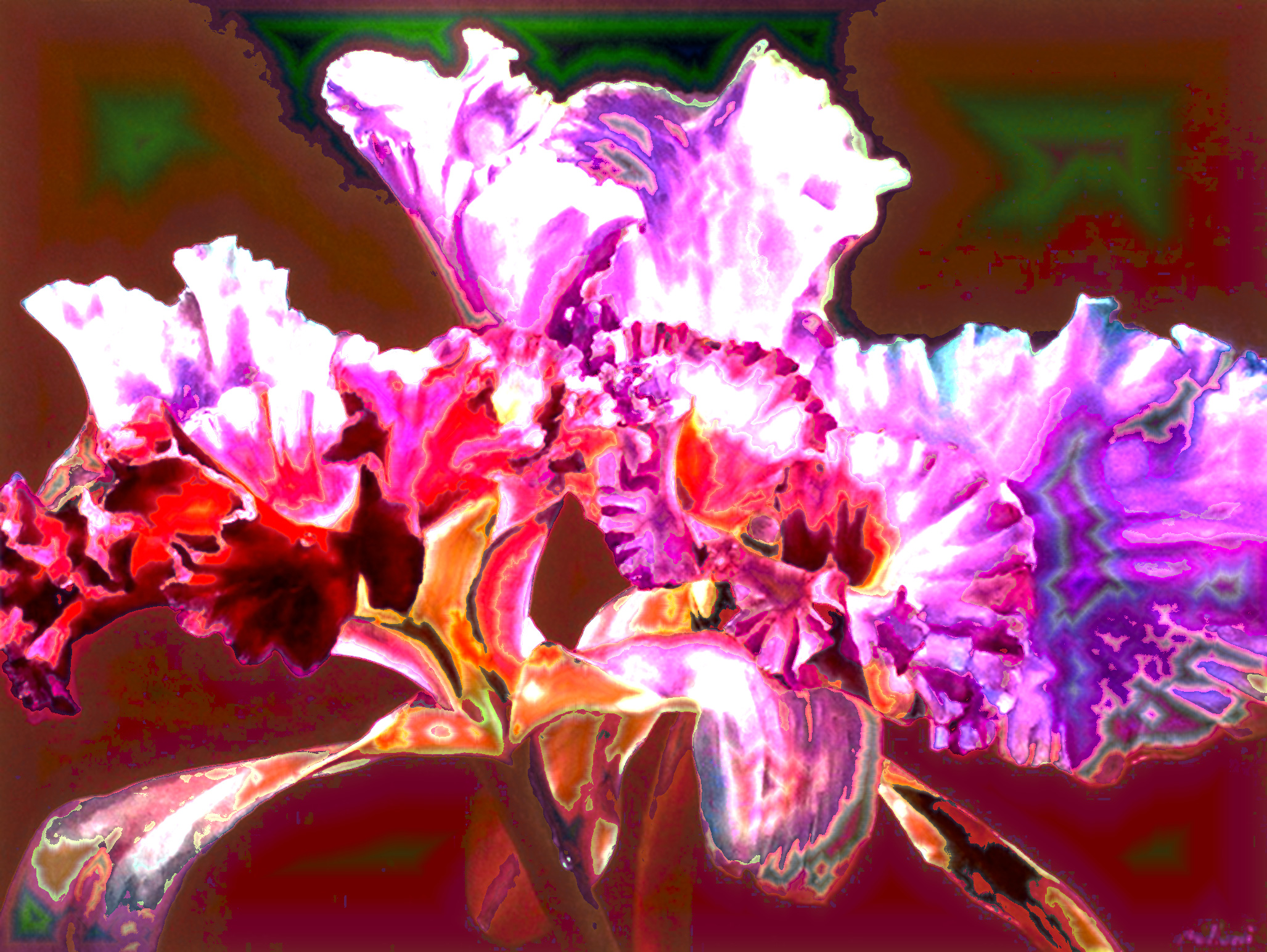 113967682_large_4687405_8899e12717_DN_DrawEffect_P.jpg