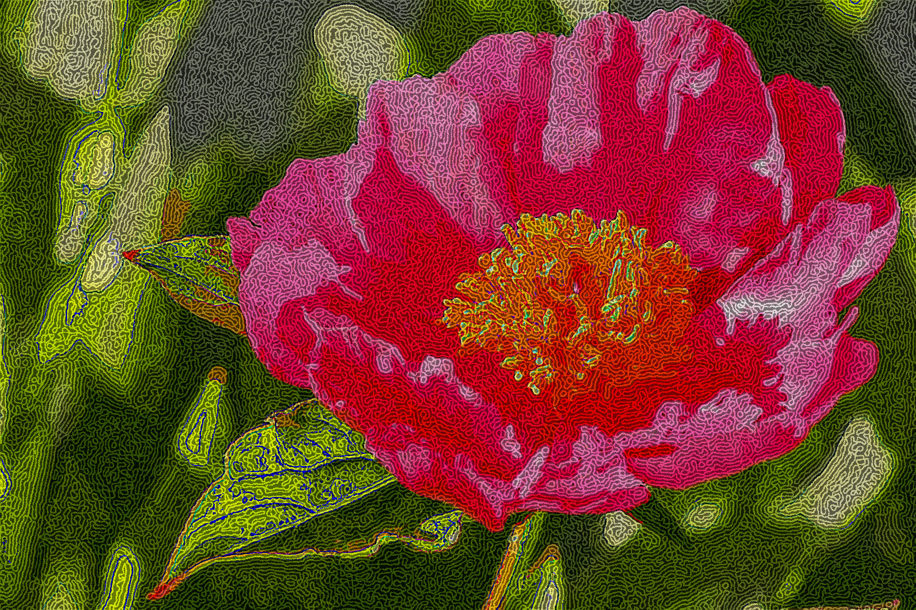 pion-4736447_DN_DrawEffect_Q.jpg
