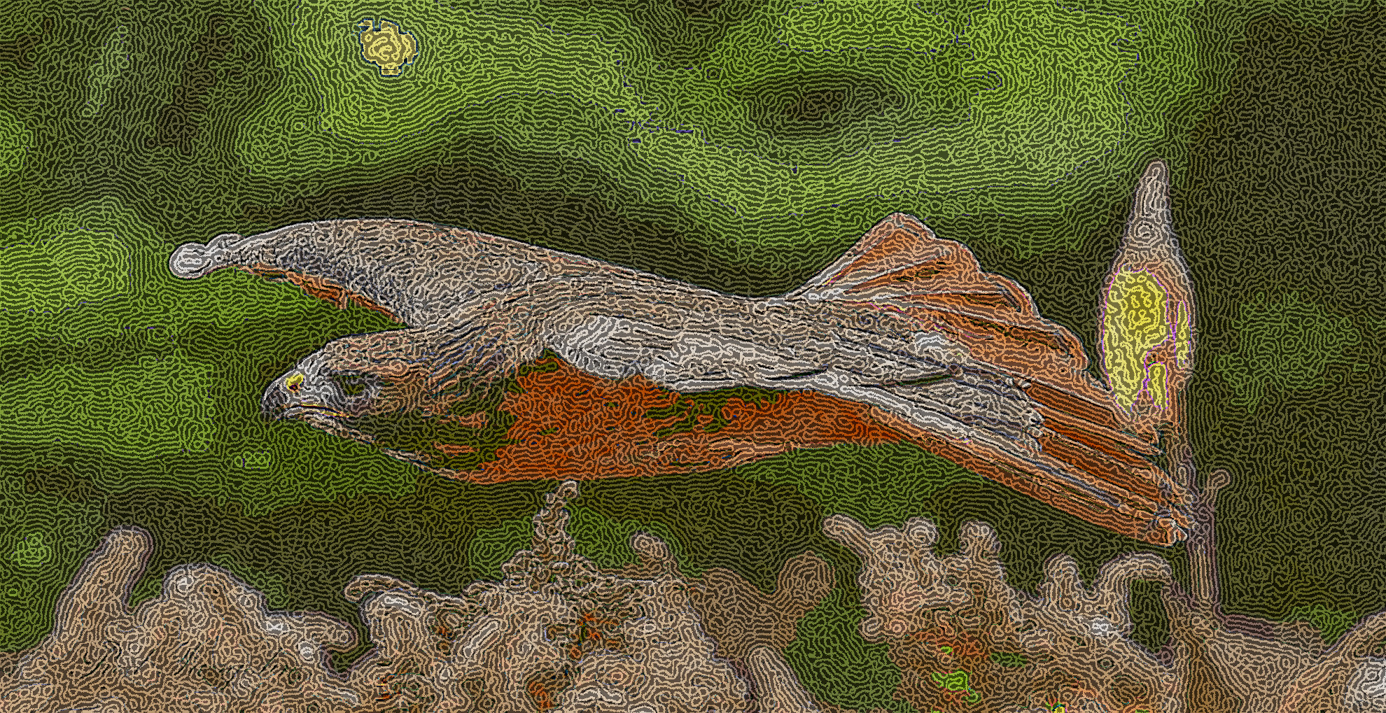 red_tail_by_redpangolin_ded9j1v-DN_DrawEffect_Q.jpg