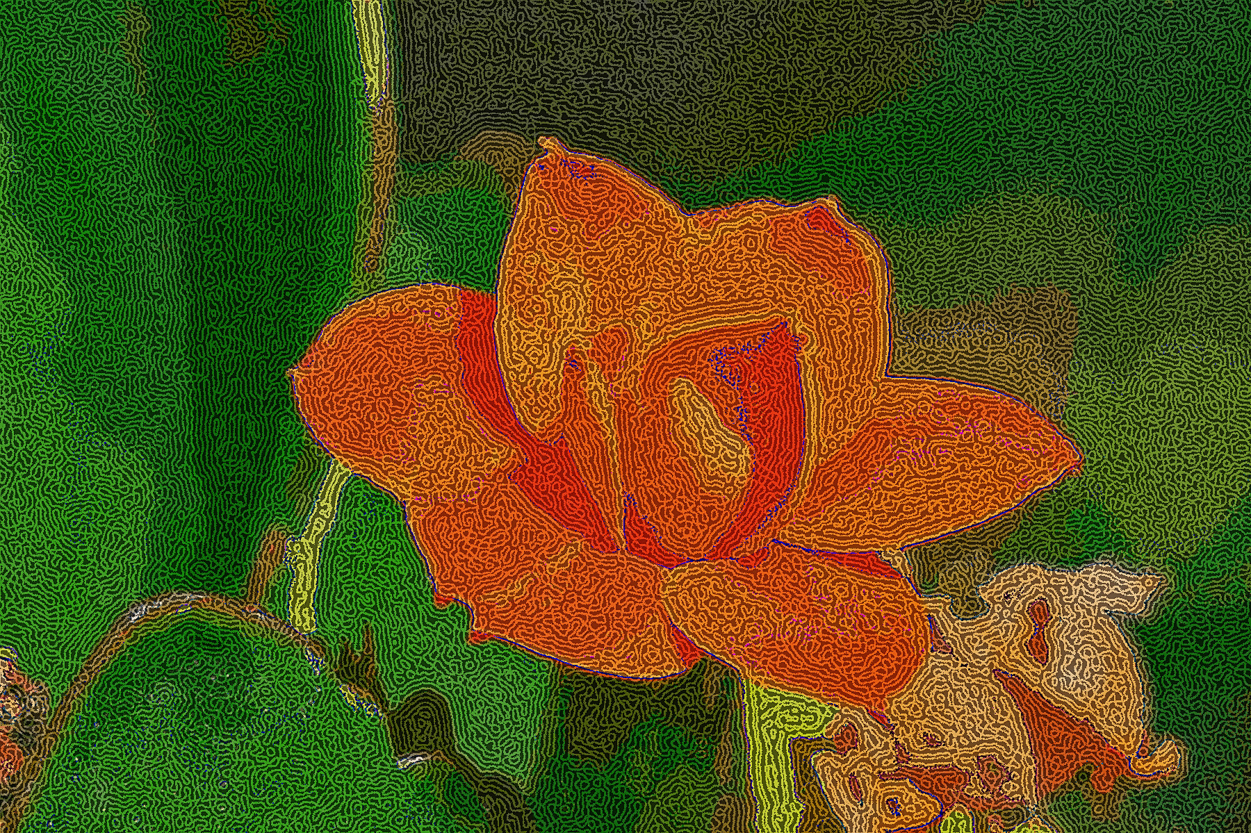 spend-long-jeon-3338867_DN_DrawEffect_Q.jpg