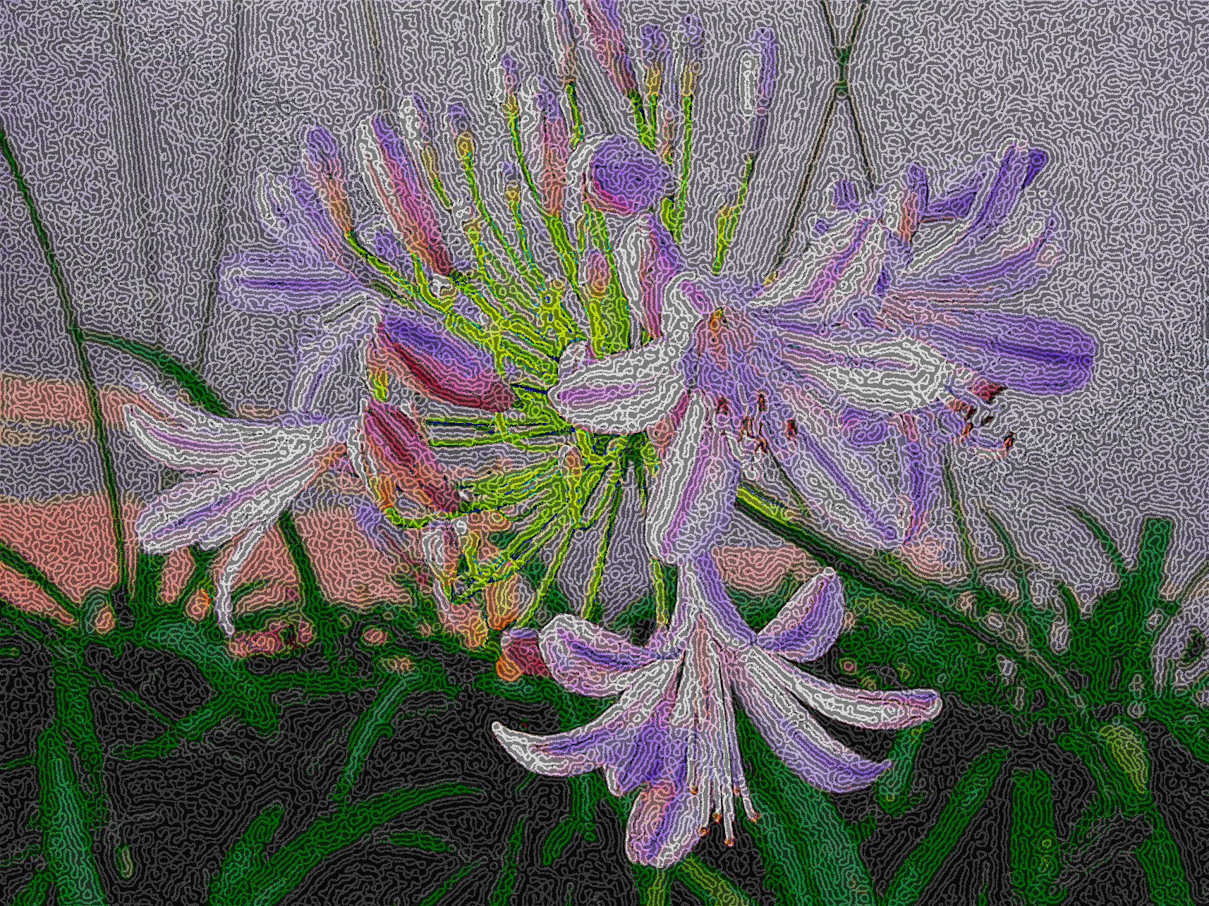 agapathus-175434_DN_DrawEffect_Q.jpg