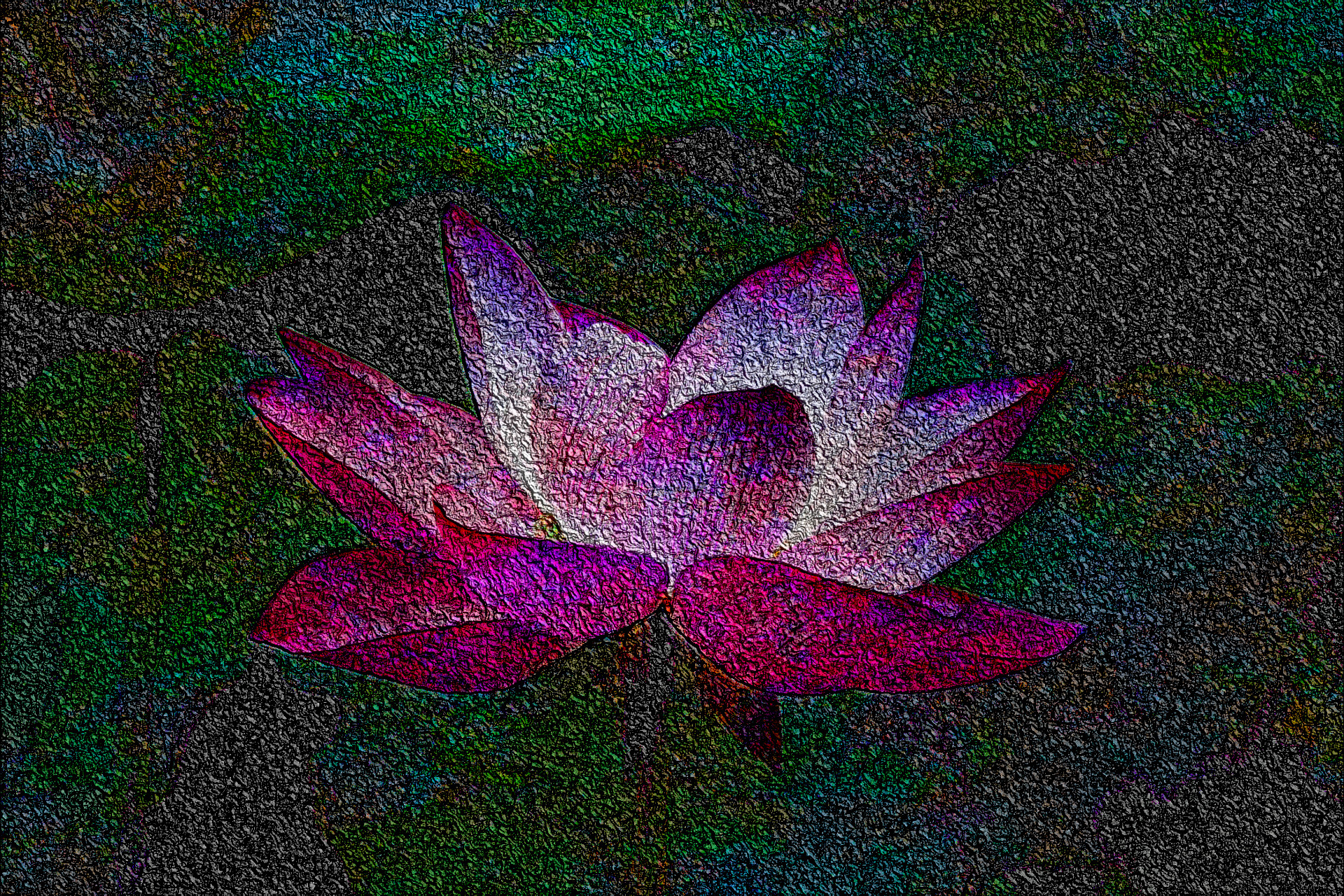 2021-02-09 15-46-29 lotus-978659_1920 stroked draw whirl, plasma at 50%-burnTop.jpeg