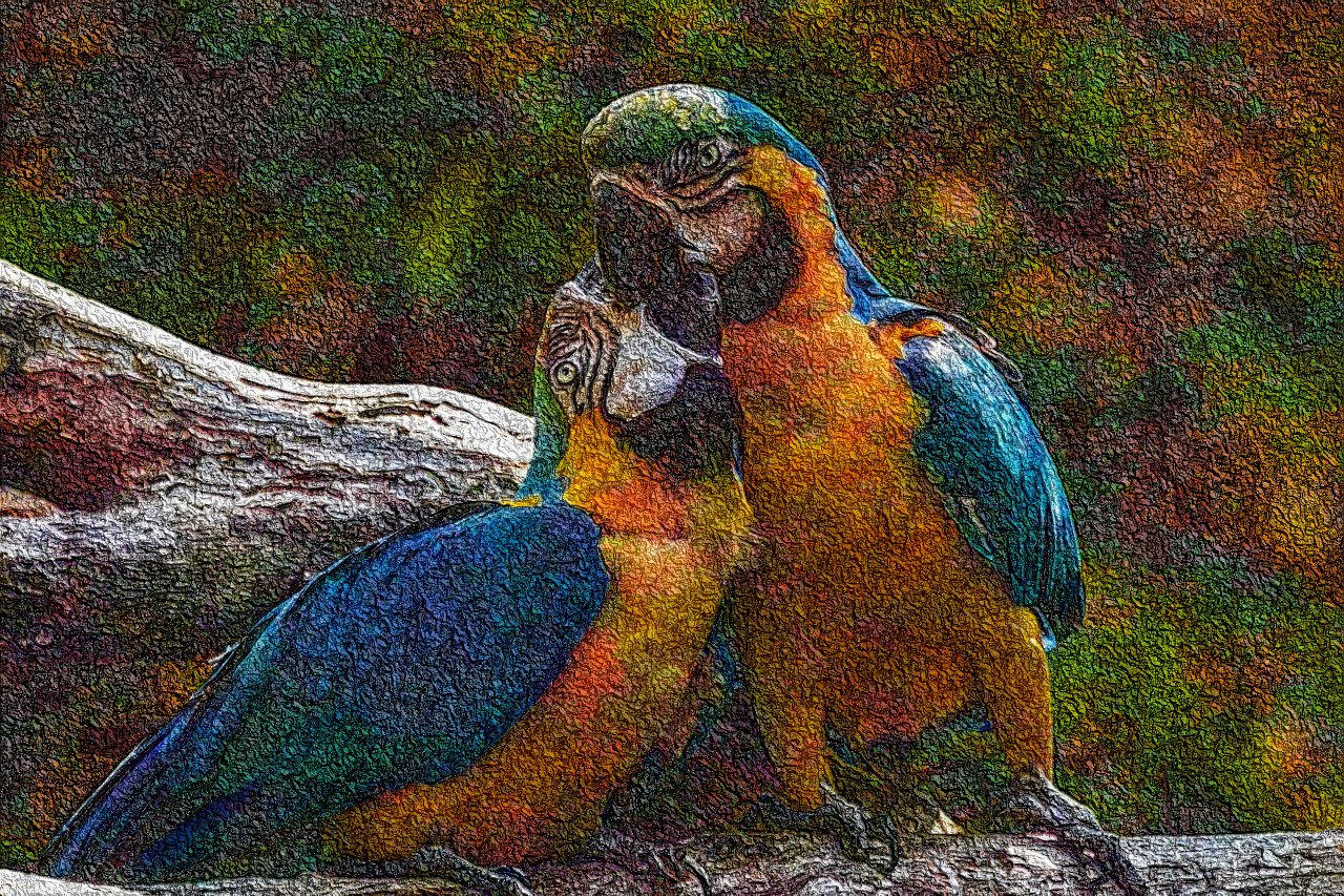 parrots-3427188_DN_DrawEffect_R2.jpg