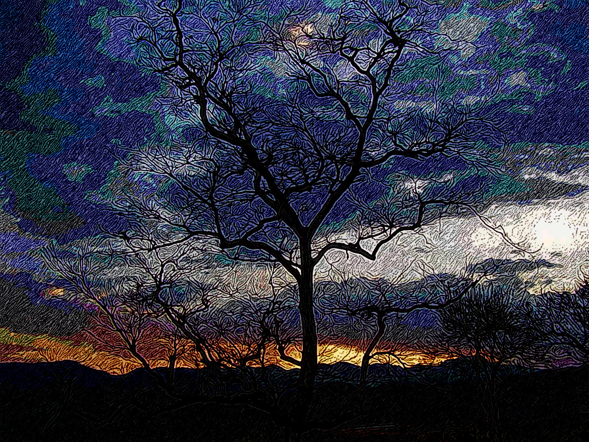 sunset-scenary-from-corbatte-national-park-dhikala-ua-india-DN_DrawEffect_S_Angular_nb.jpg