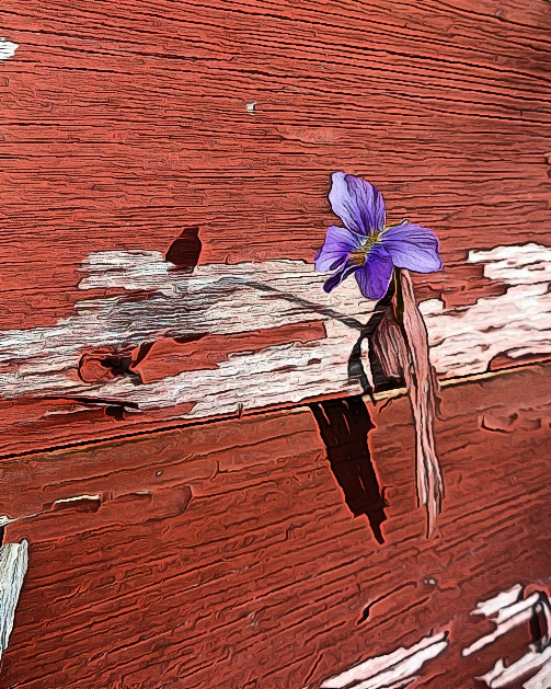 PurpleFlowerCrop.jpg