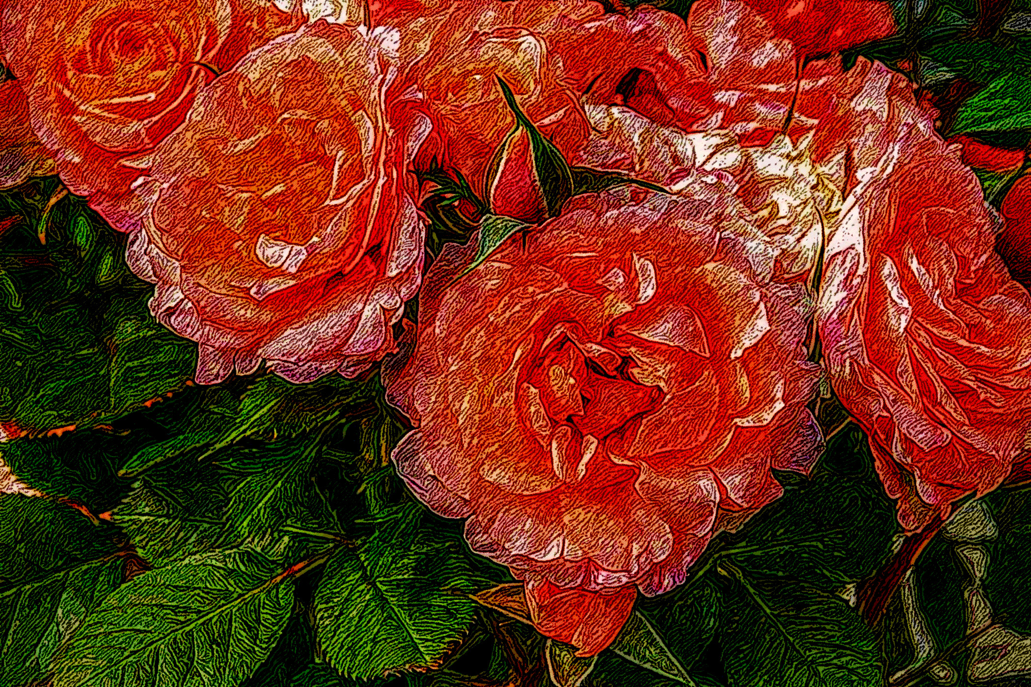 roses-3611502_DN_DrawEffect_S_9-areas_Angular.jpg