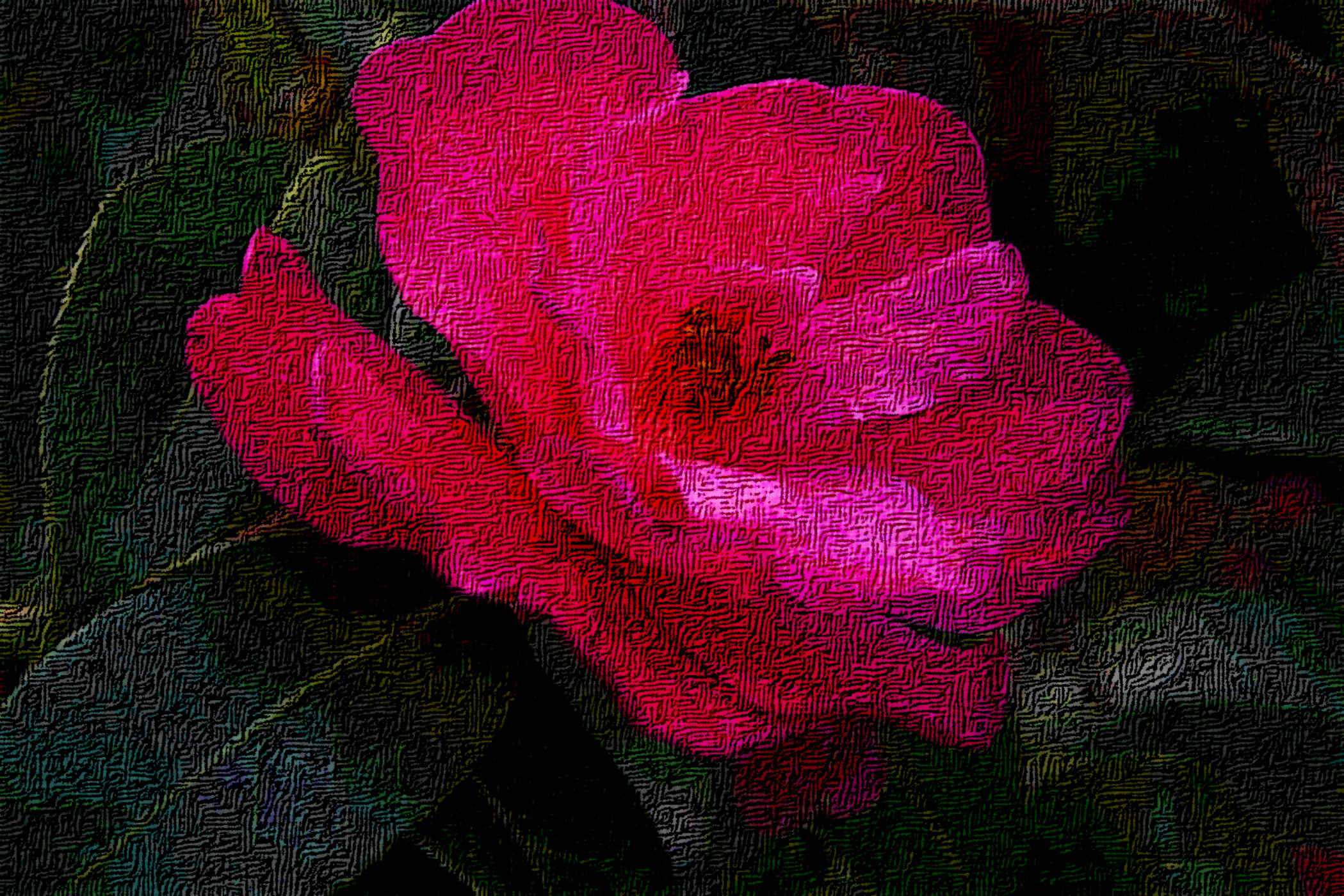 pink_beauty_by_ingeline_art_dedx7i7-DN_DrawEffect_S_Crossed.jpg