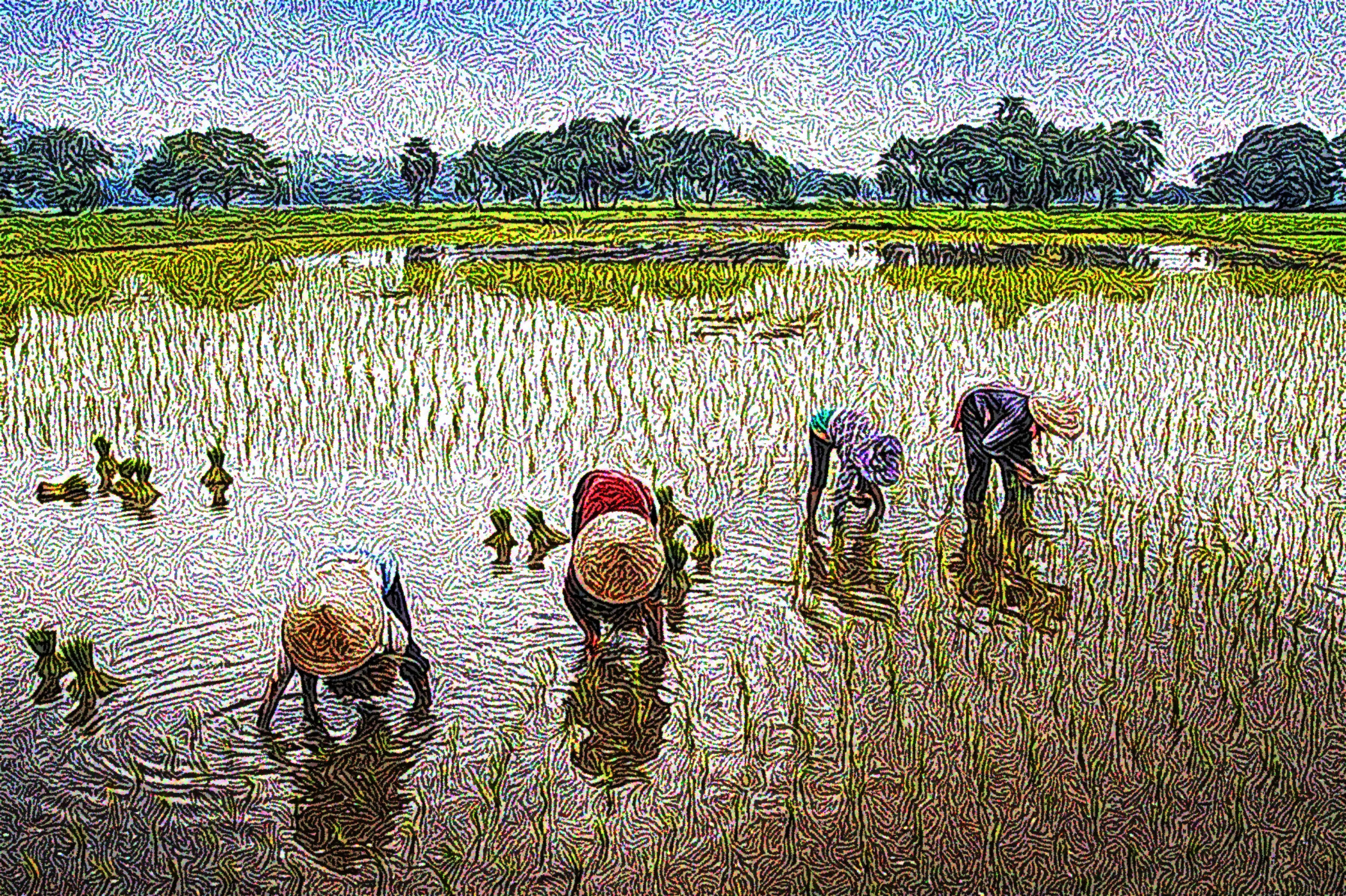 field-5430070_DN_DrawEffect_S_Twirled.jpg