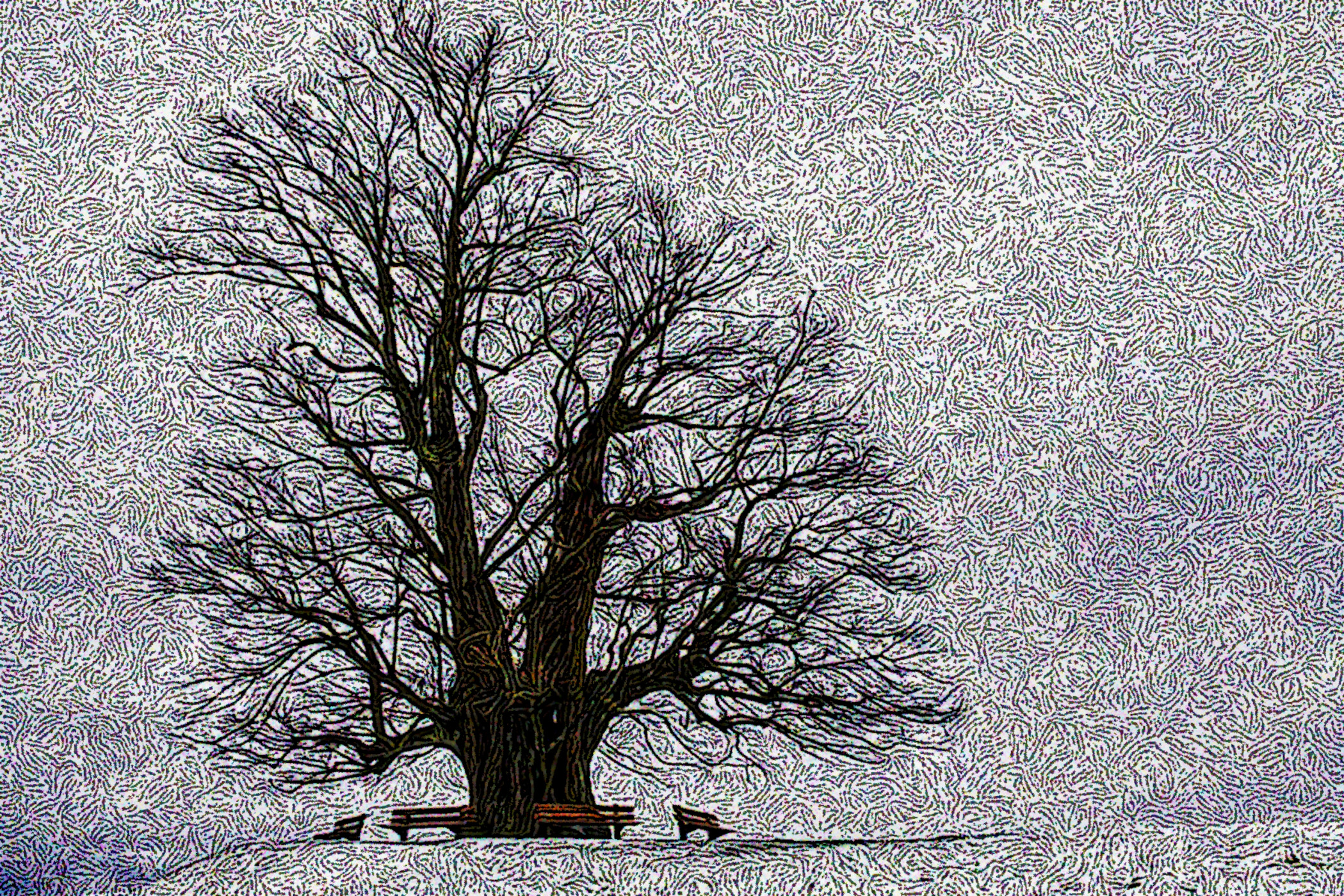 winter-5914653_DN_DrawEffect_S_Twirled.jpg