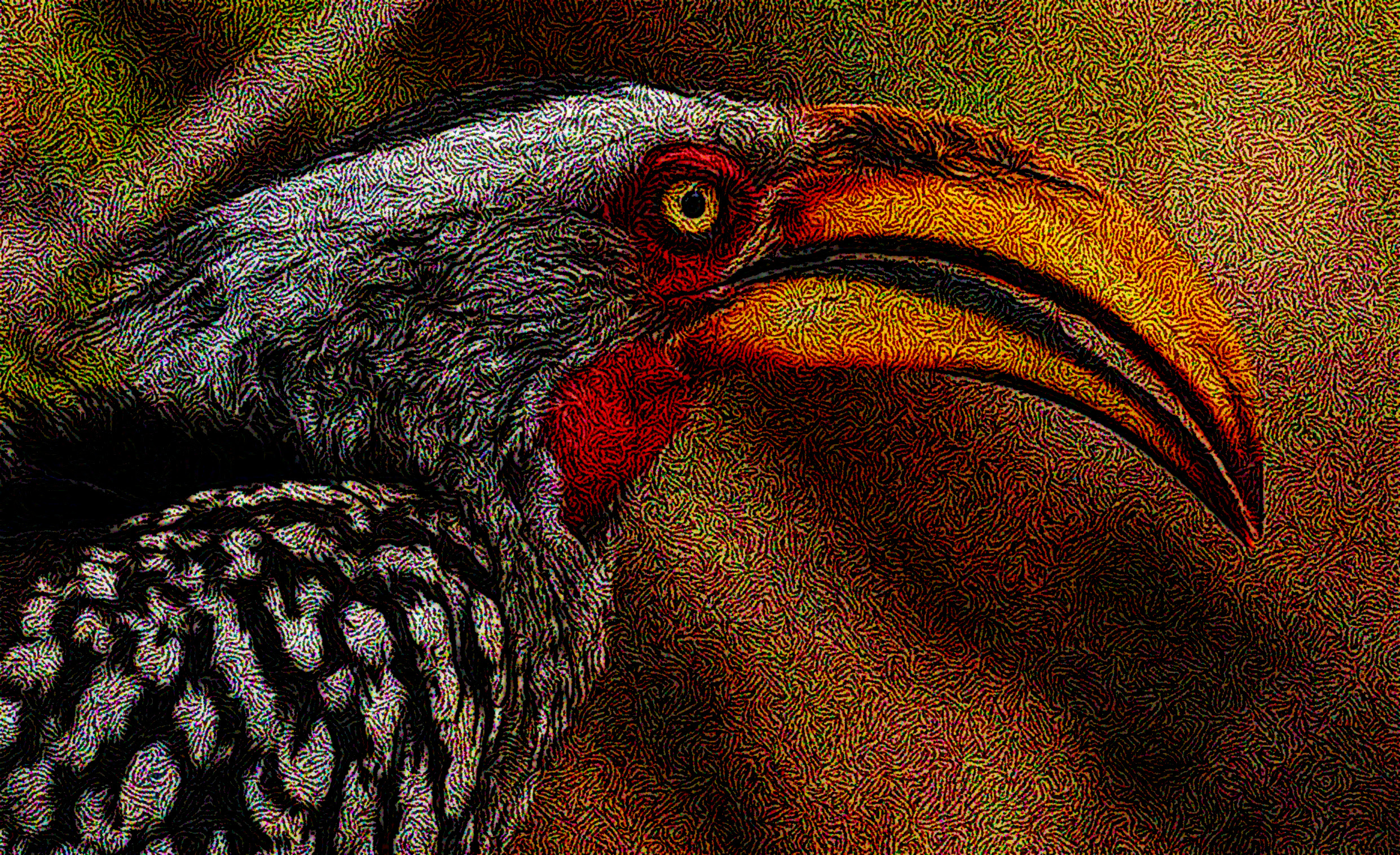 _toco_piquigualdo_sureño_leucomelas_DN_DrawEffect_S_Twirled.jpg